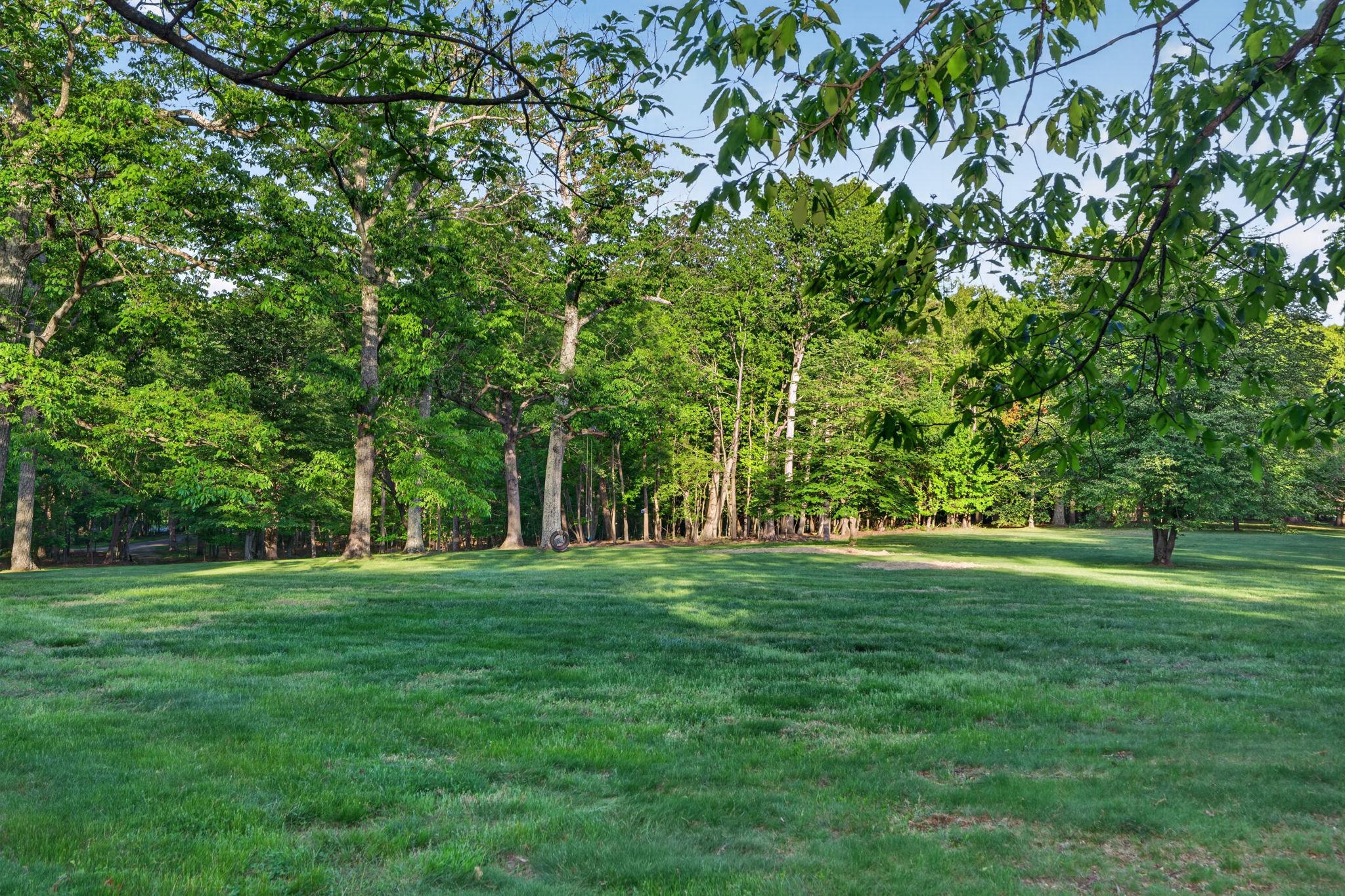  3204 Mountain Road, Haymarket, VA, 20169 - 物件實景