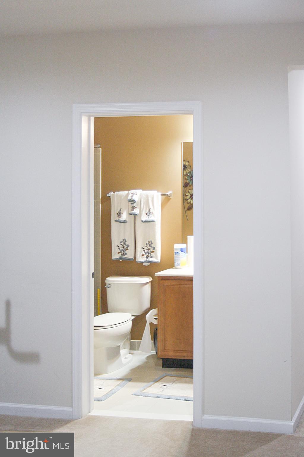 Winchester, Virginia, 22602, United States, 5 Bedrooms Bedrooms, ,5 BathroomsBathrooms,Residential,For Sale,1982956