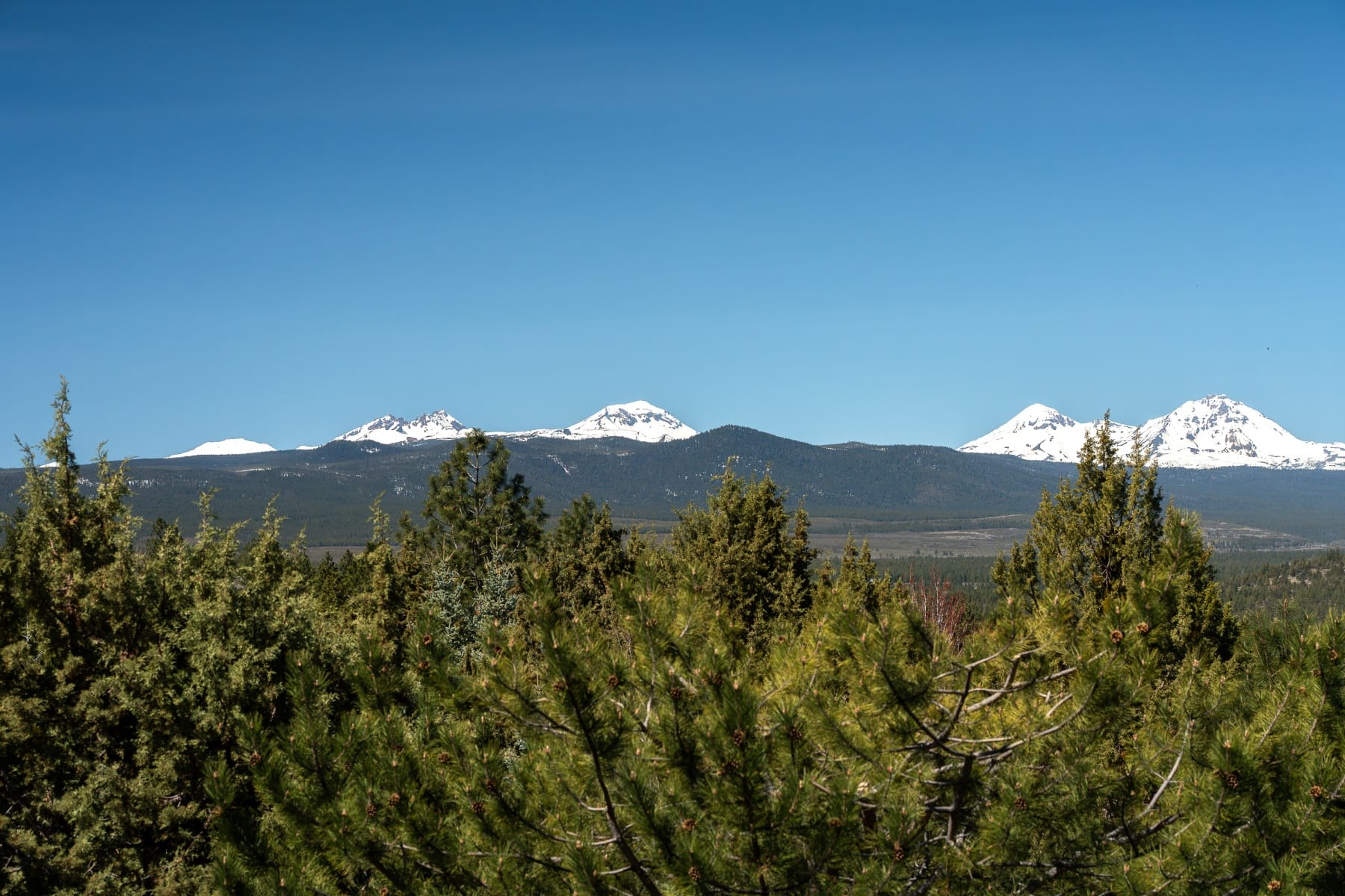  1359 NW Remarkable Drive Bend, OR 97703 - 物件實景