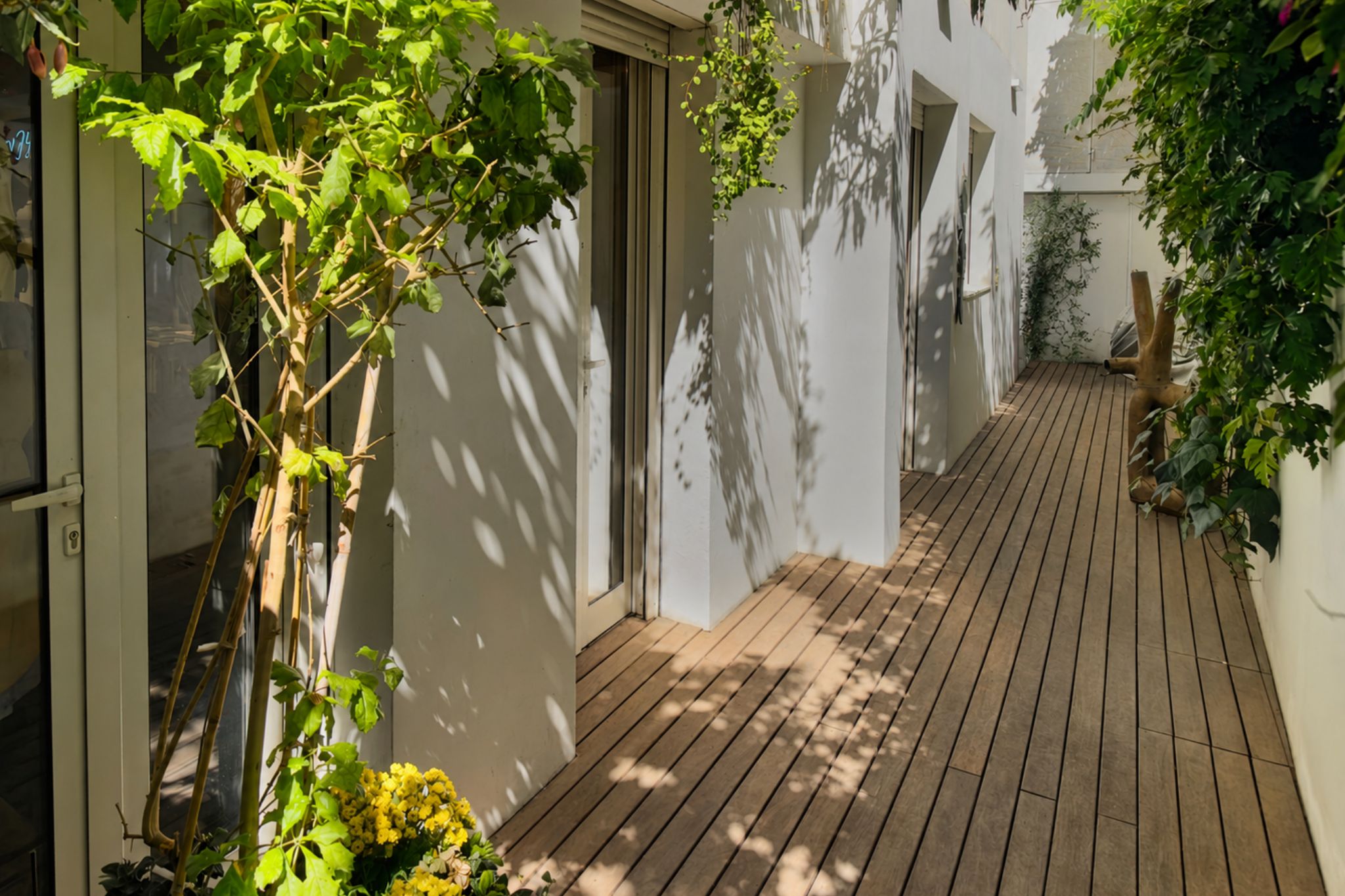  Garden Residence in a Bauhaus Building in Historic Tel Aviv - 物件實景