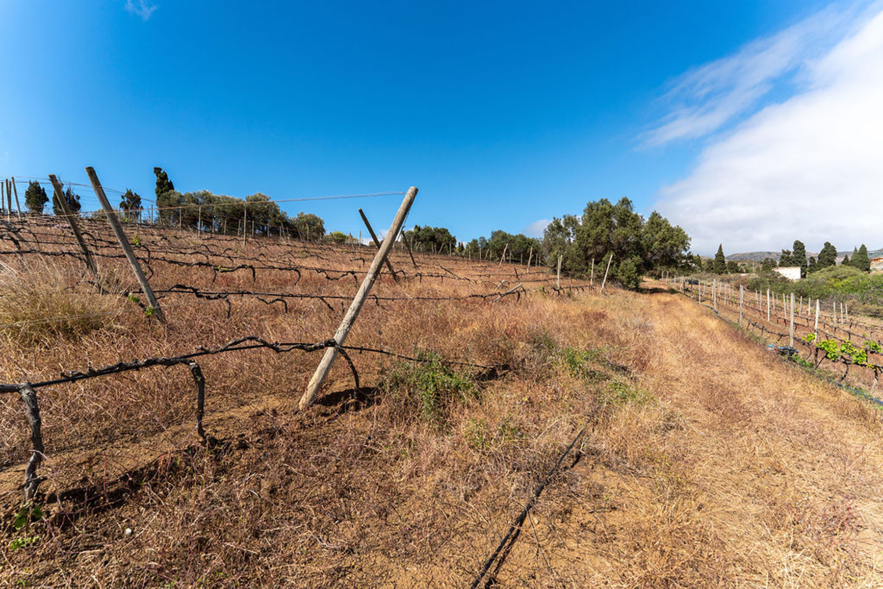  Investment opportunity and exclusive privacy in an 80,000 m² estate - 物件實景