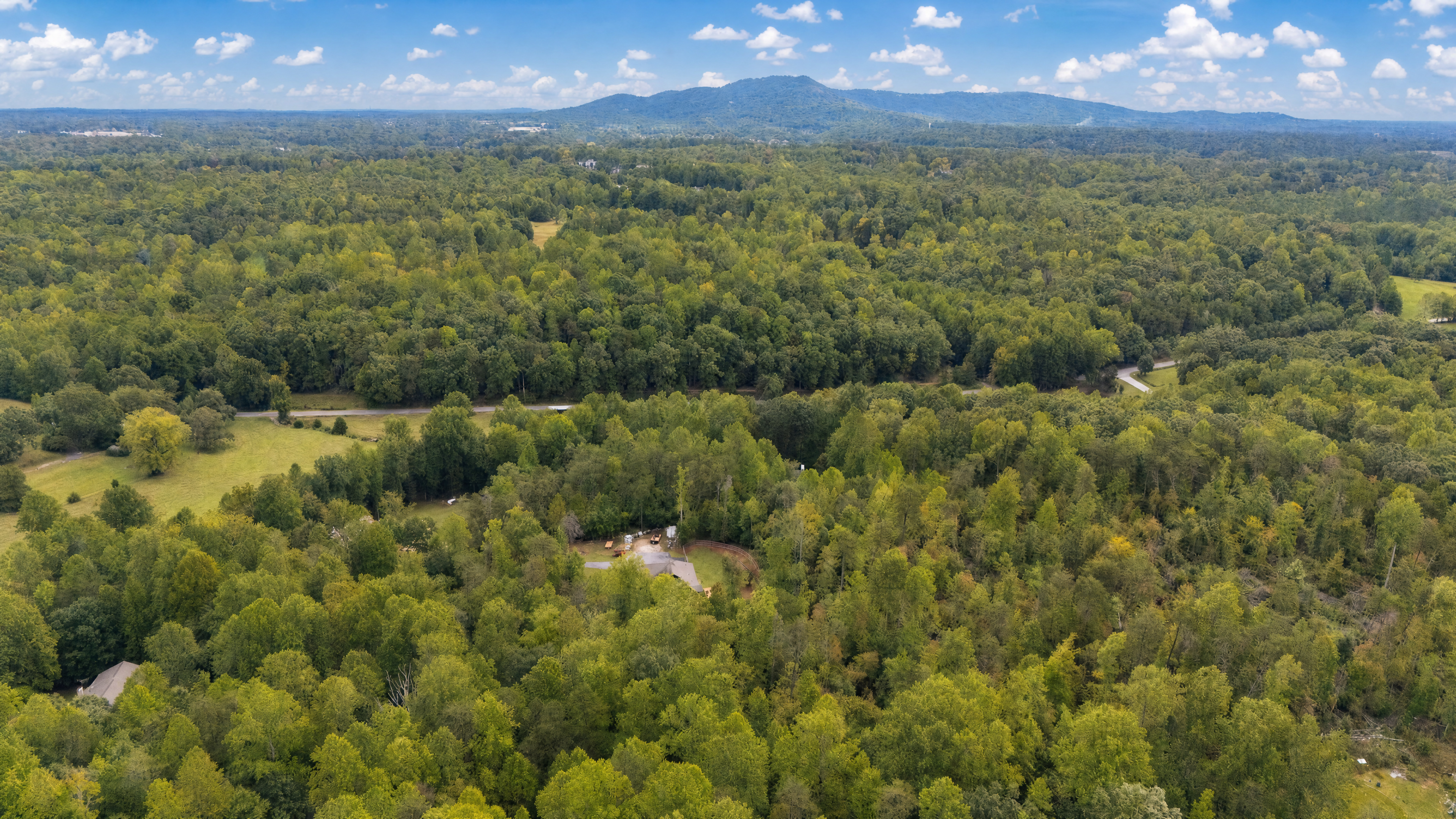  40 McCarrell Road, Travelers Rest, SC 29690 - 物件實景