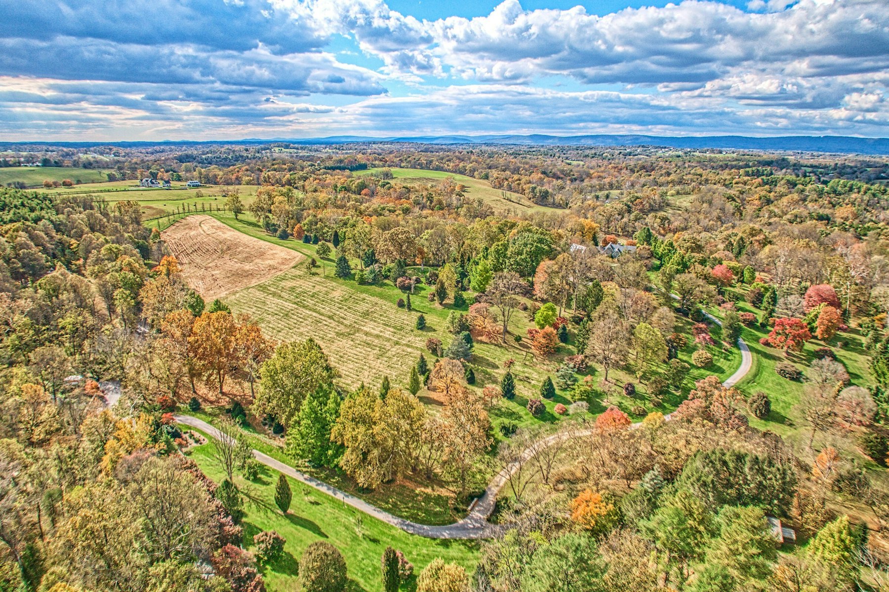  13223 Loyalty Road, Leesburg, VA 20176 - 物件實景