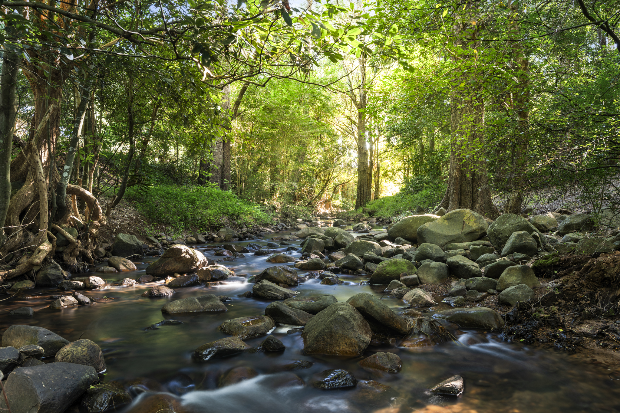  99 Bong Bong Road - 物件實景