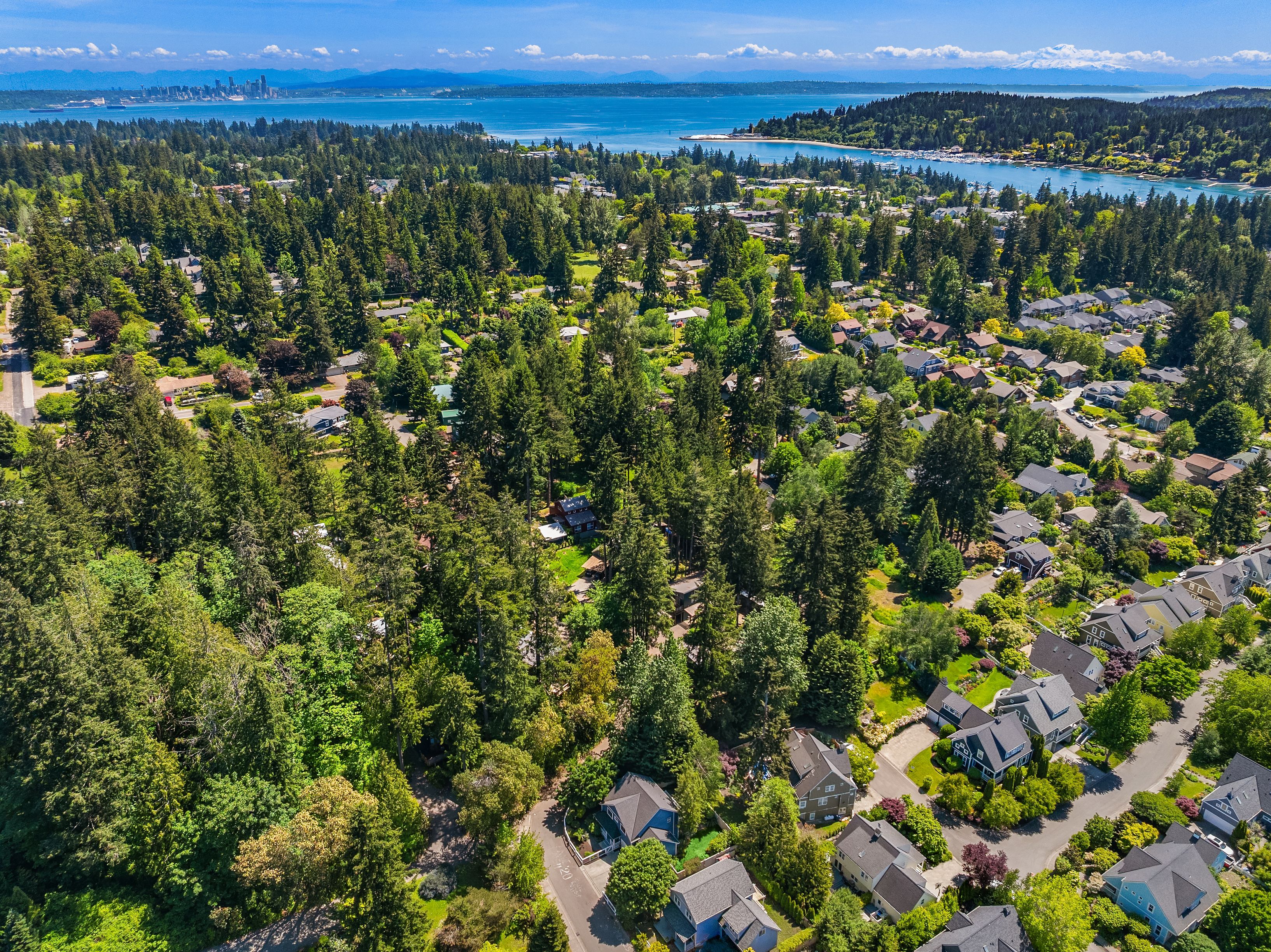  705 Moji Lane NW, Bainbridge Island, WA 98110 - 物件實景