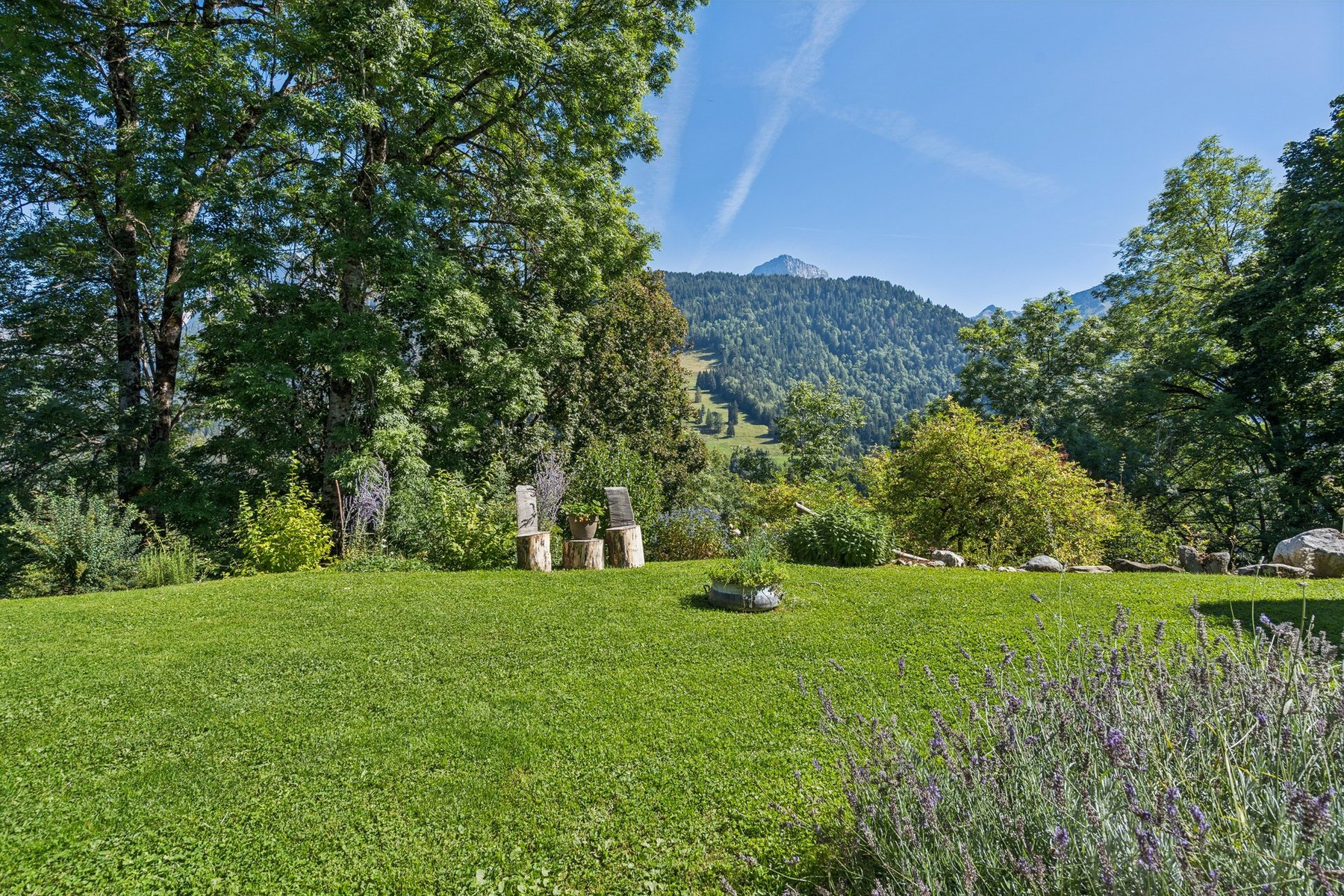  Chalet fully renovated in 2025 in the center of Gryon, quiet location, view, and - 物件實景