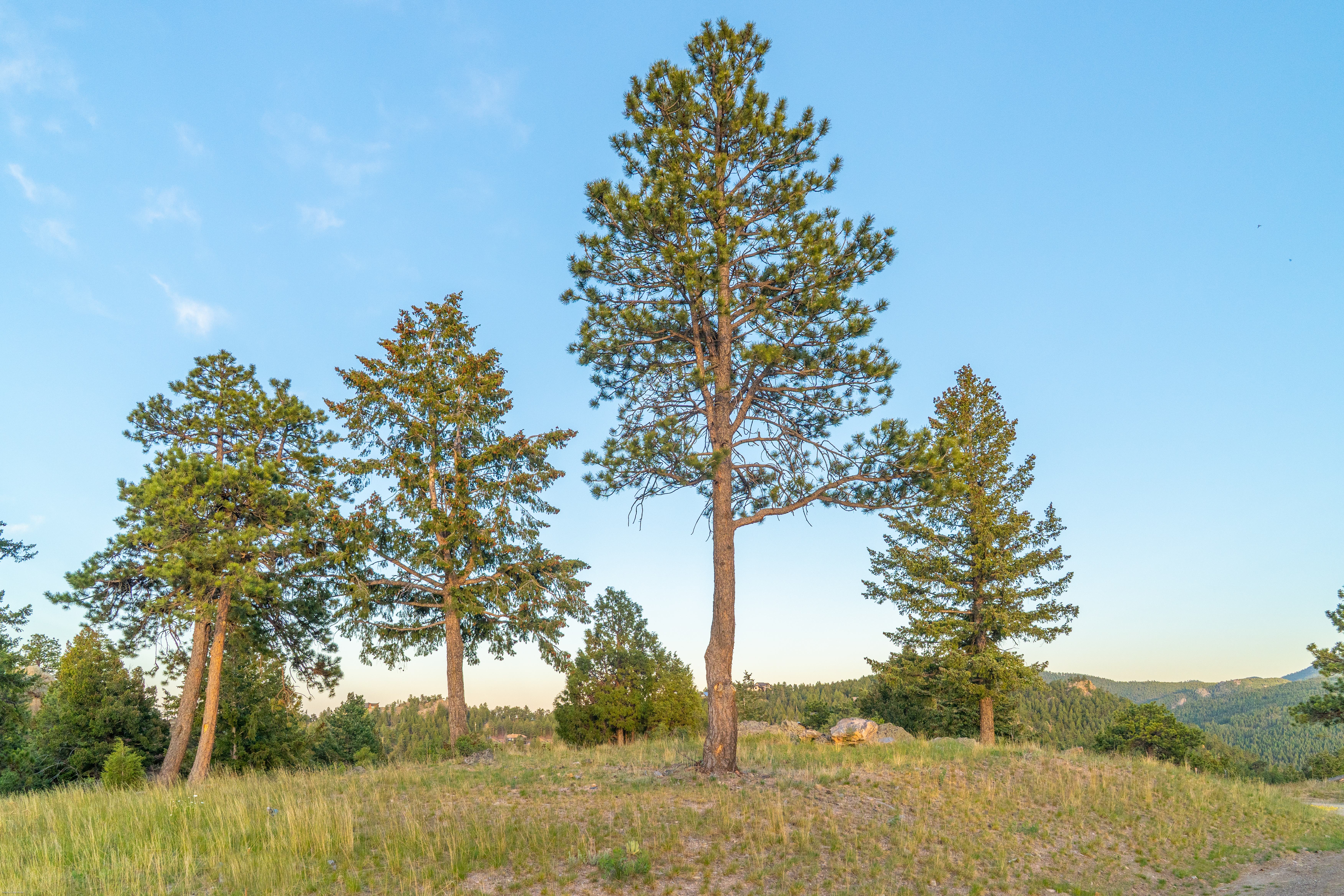  Acreage Available in Evergreen