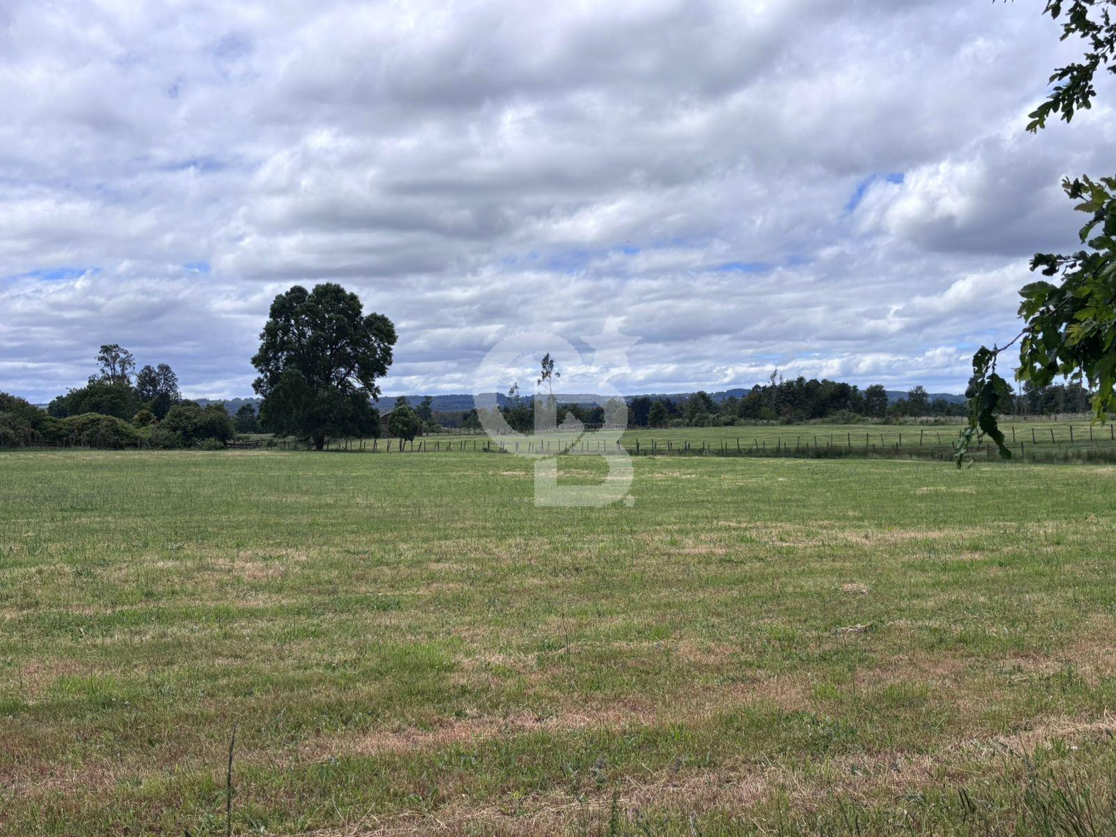 Fresia, Chile, ,Land,For Sale,2003048