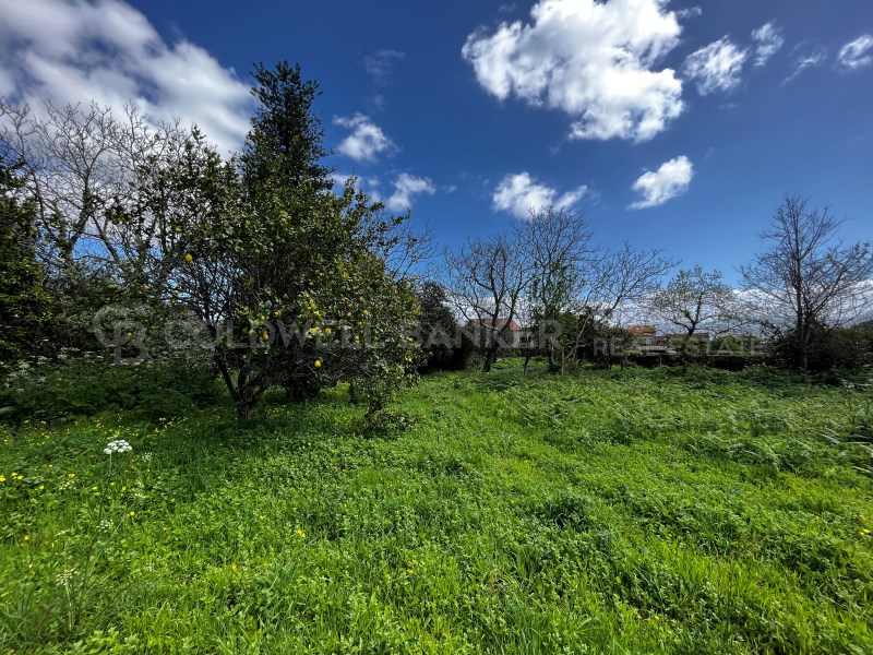 Pontevedra, Moa?a, Moa?a (San Marti?o P. E Virxe d, Moaña, Galicia, ES, 7 Bedrooms Bedrooms, ,2 BathroomsBathrooms,Residential,For Sale,Pontevedra, Moa?a, Moa?a (San Marti?o P. E Virxe d,1623275