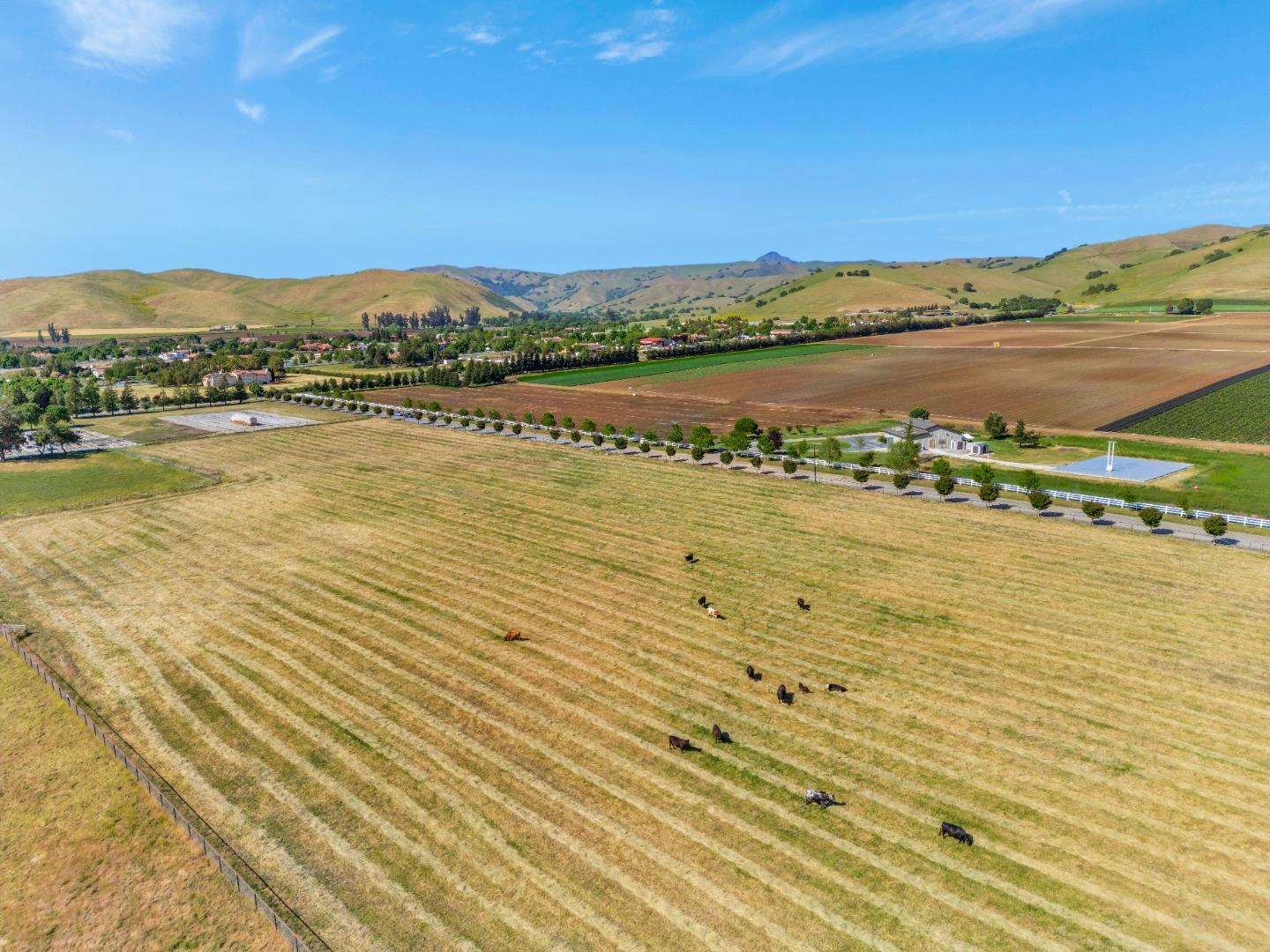 Hollister, California, 95023, United States, ,Land,For Sale,1819705