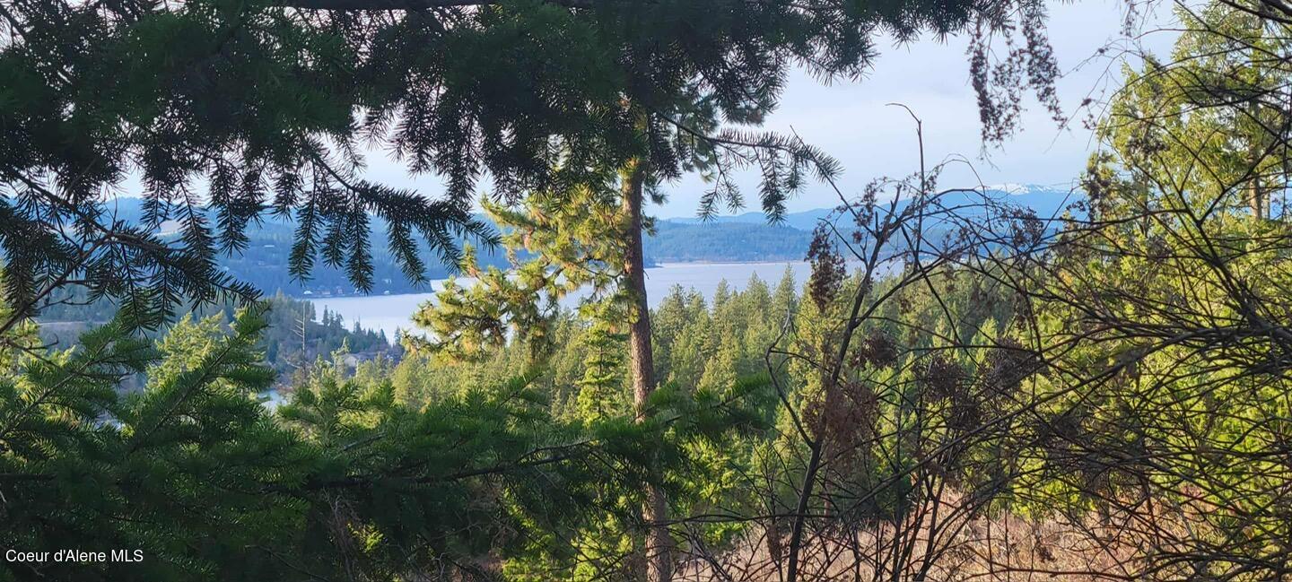 Harrison, Idaho, 83833, United States, 1 Bedroom Bedrooms, ,1 BathroomBathrooms,Residential,For Sale,1980772