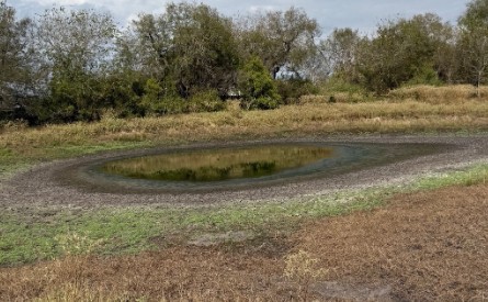 Runge, Texas, 78151, United States, 3 Bedrooms Bedrooms, ,2 BathroomsBathrooms,Residential,For Sale,1996621