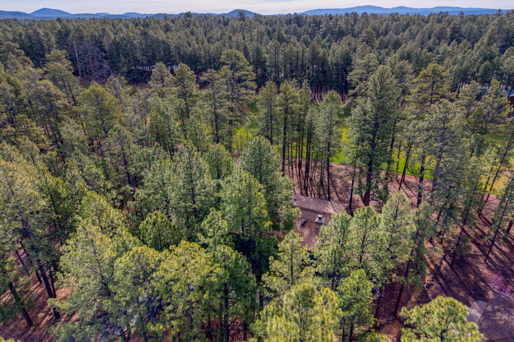  7139 Buck Springs Road  Pinetop, AZ - 物件實景