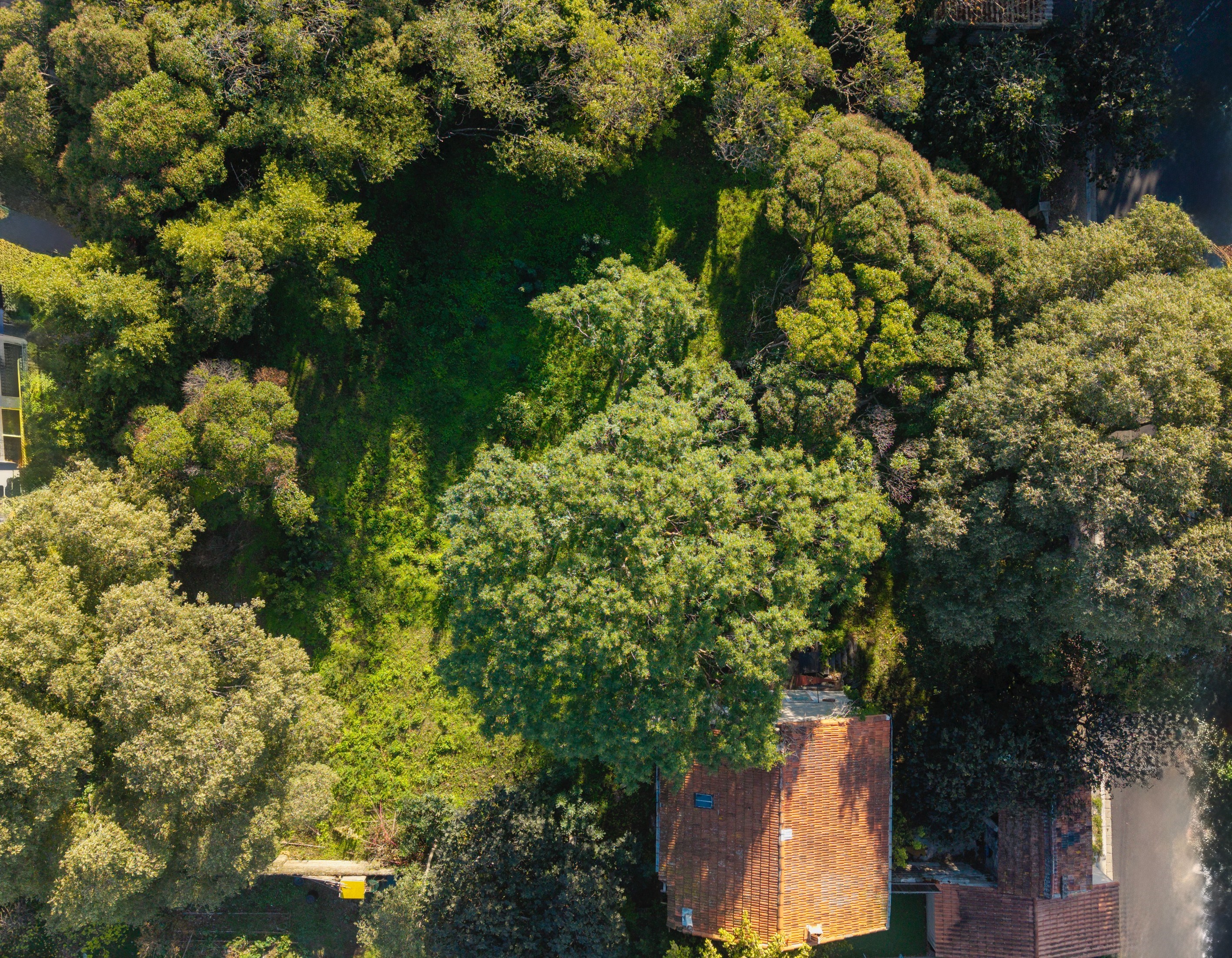  WHEN NATURE MEETS THE CITY _ incredible charm, and exceptional potential in the… - 物件實景