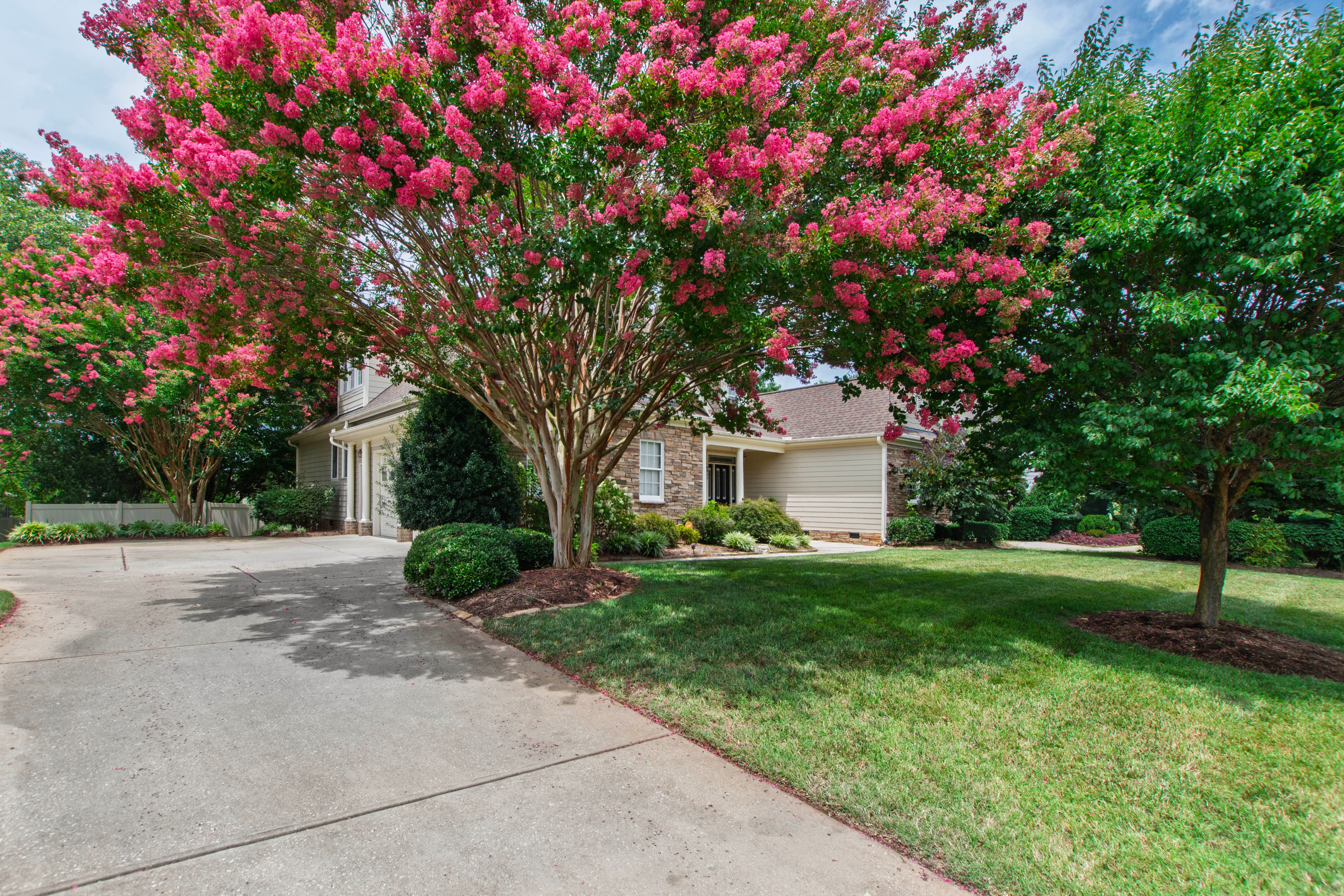  407 Waterville Street, Raleigh, NC 27603 - 物件實景