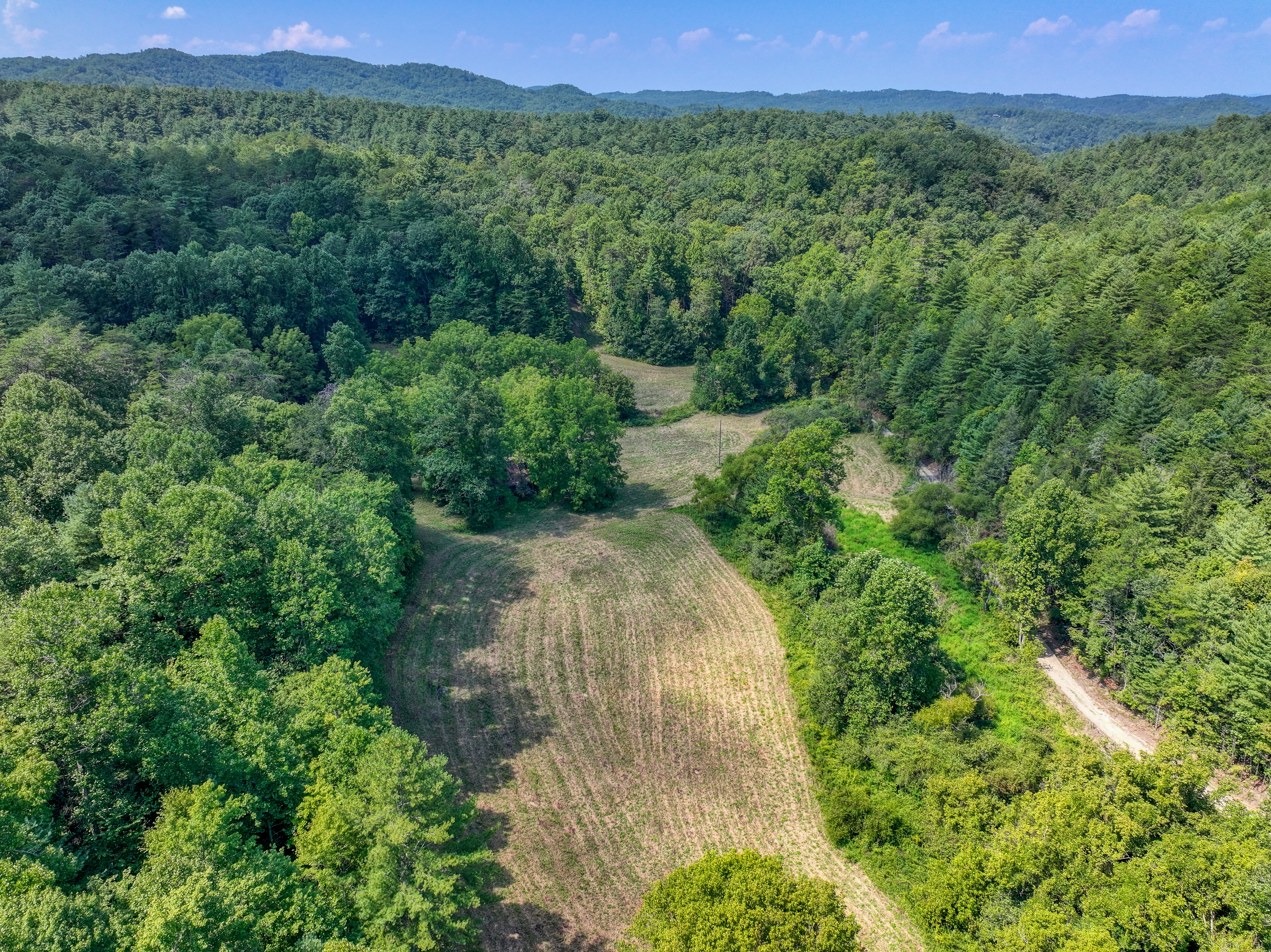  Belcher Loop, Tellico Plains, TN 37385 - 物件實景