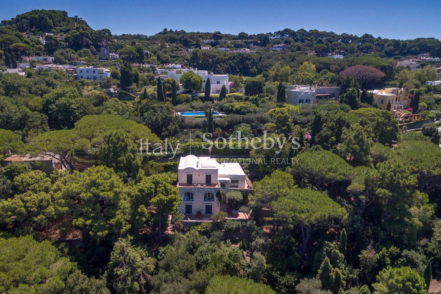 Majestic estate with swimming pool and panoramic view - 物件實景
