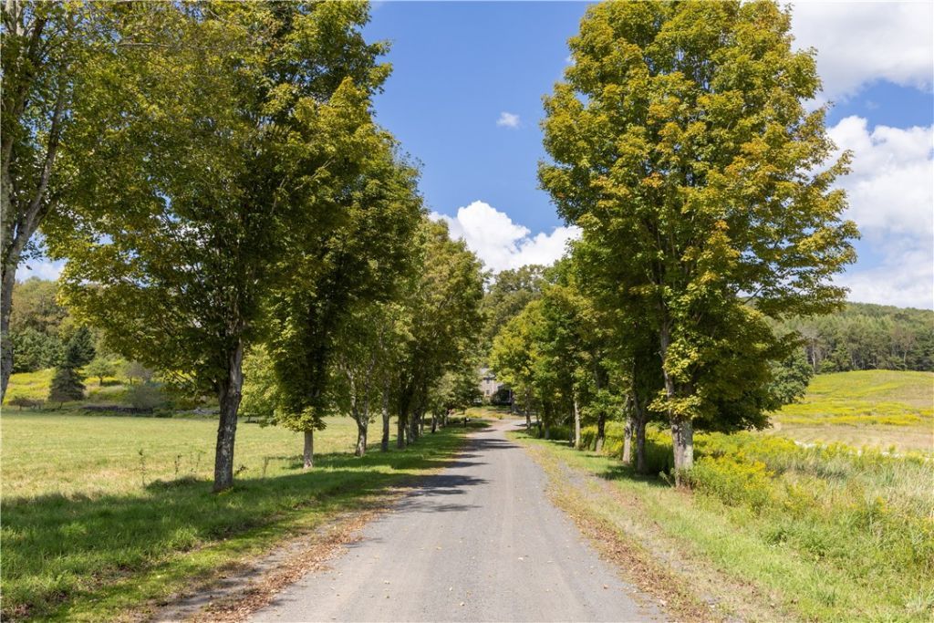 Walton, New York, 13856, United States, 4 Bedrooms Bedrooms, ,4 BathroomsBathrooms,Residential,For Sale,1947097