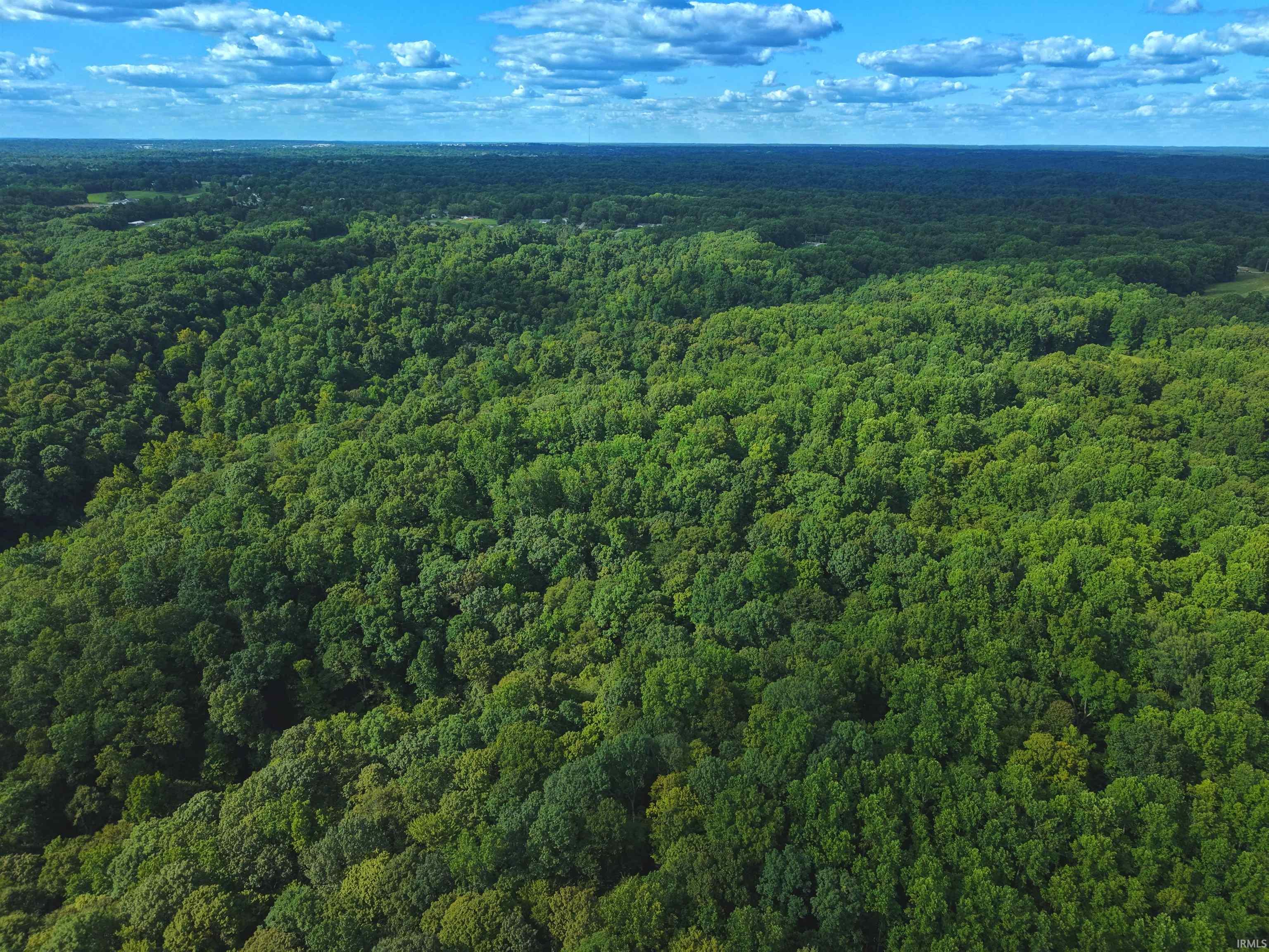 Bloomington, Indiana, 47401, United States, ,Land,For Sale,1976606