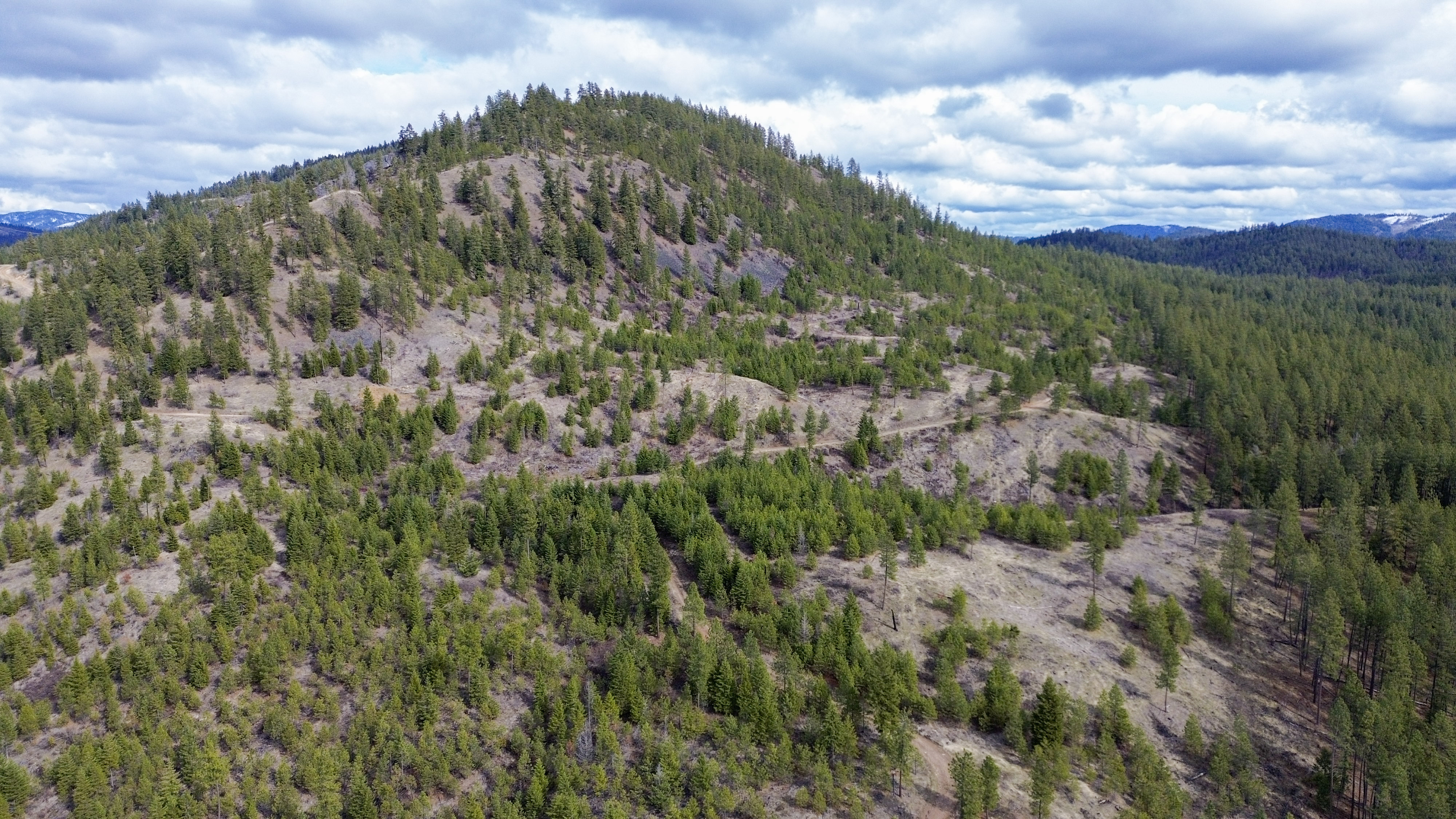 Valley, Washington, 99181, United States, ,Land,For Sale,1979391