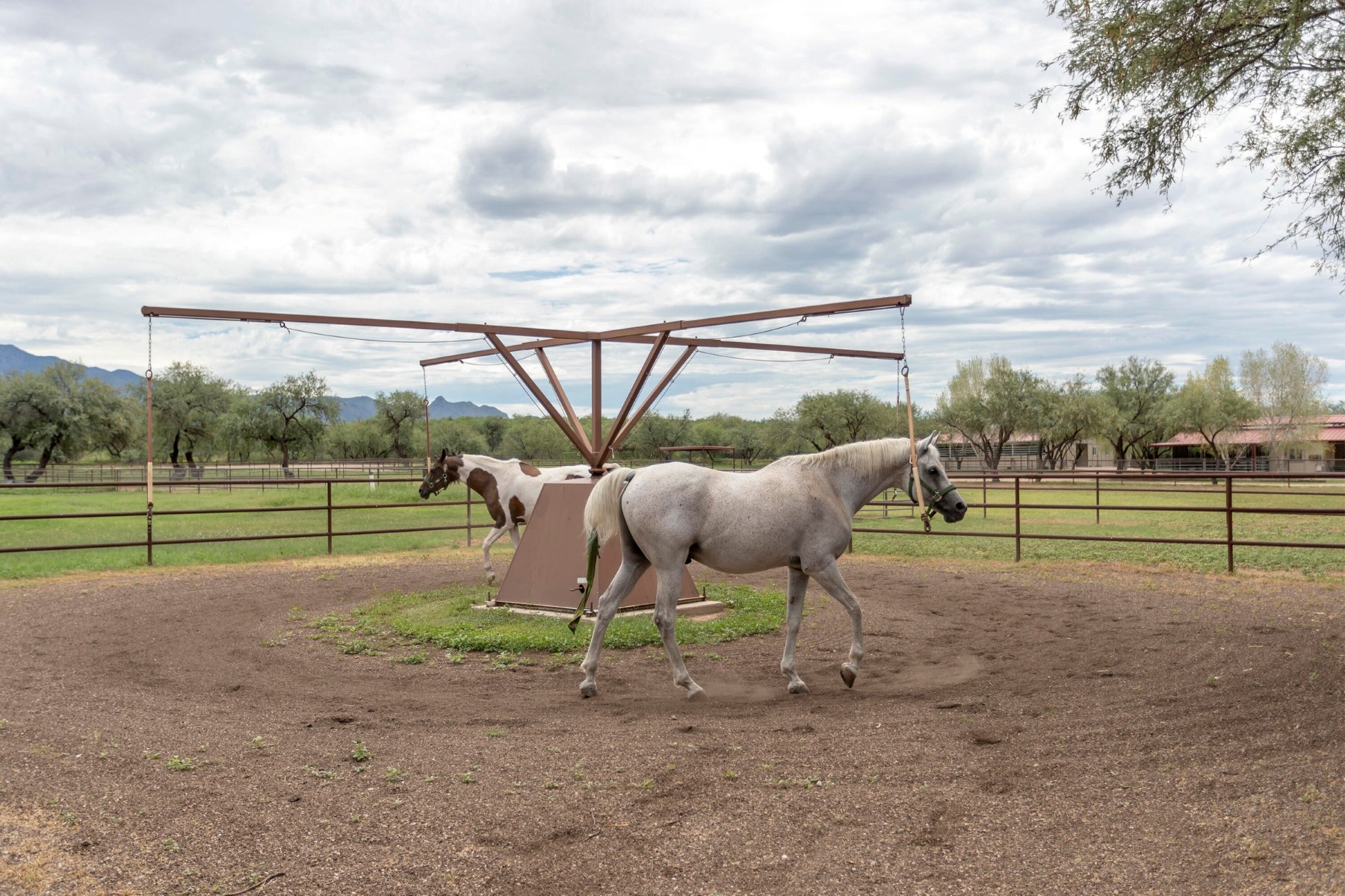  3155 W Elephant Head Road¦Amado, AZ - 物件實景
