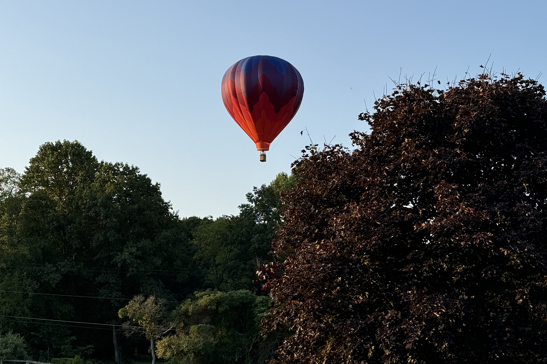  One of a Kind Well Appointed Custom Built Equestrian Property - 物件實景