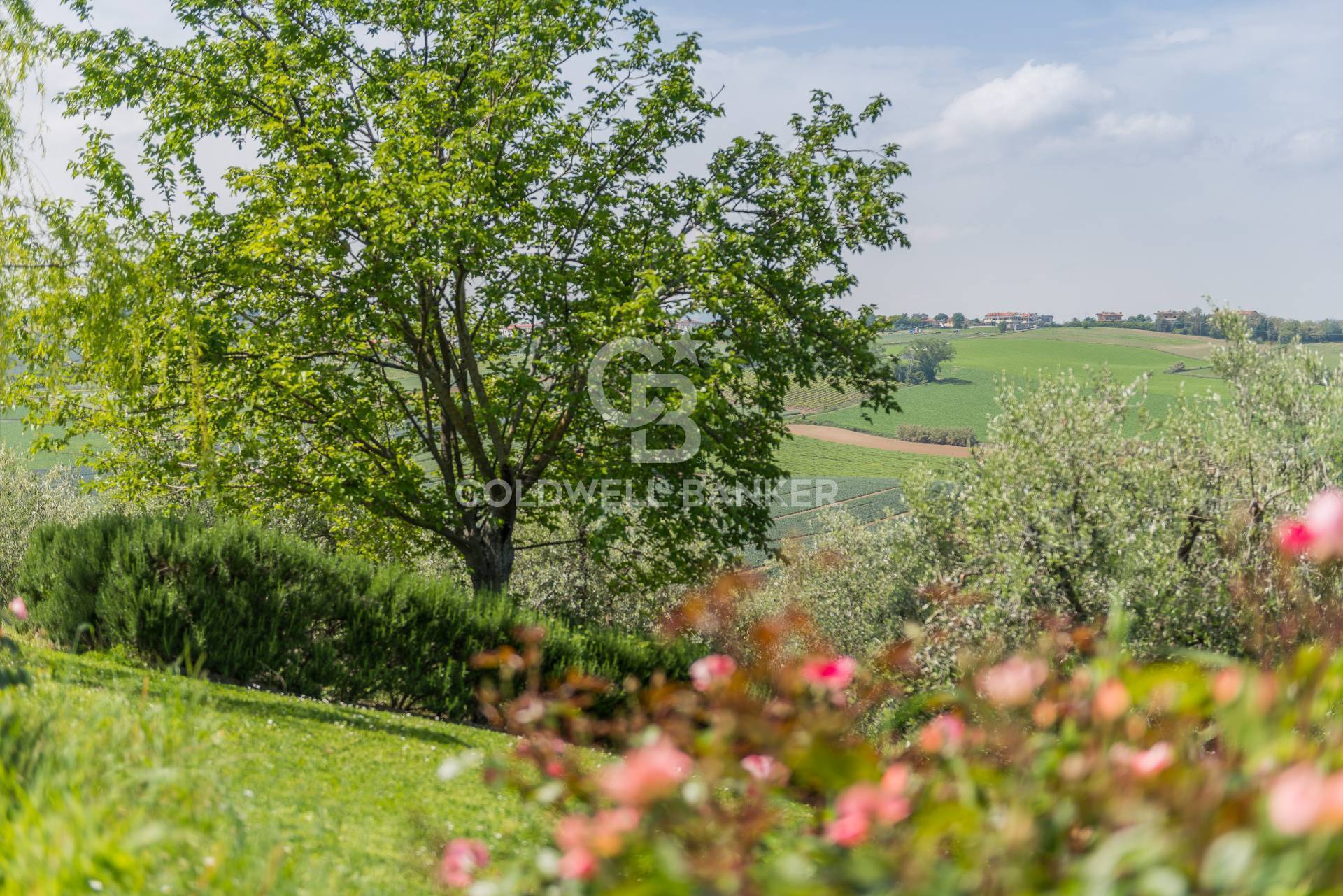 San Clemente, Rimini, 47040, IT, 5 Bedrooms Bedrooms, ,3 BathroomsBathrooms,Residential,For Sale,1987756