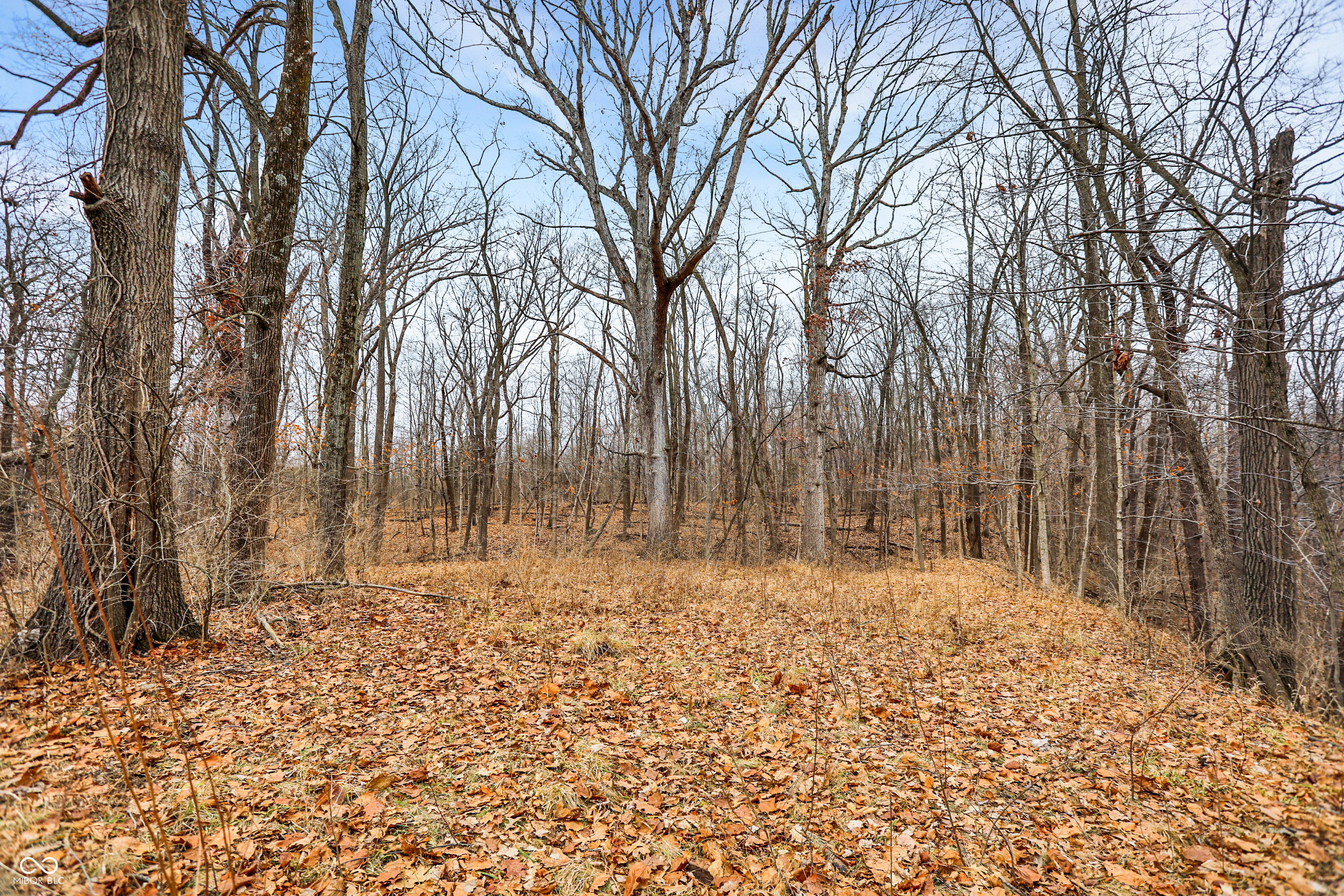 Arcadia, Indiana, 46030, United States, ,Residential,For Sale,2009642