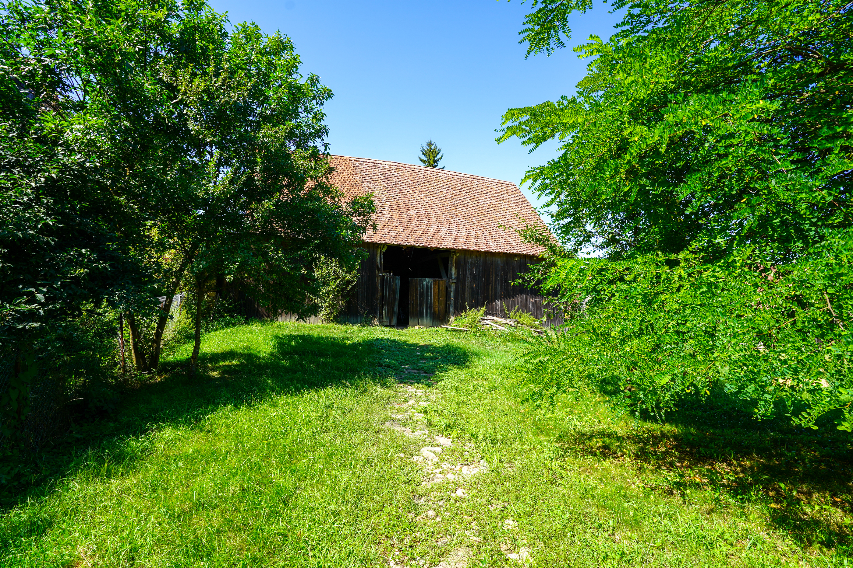  Restored Authentic Saxon House in Viscri, Between Heritage and Nature - 物件實景