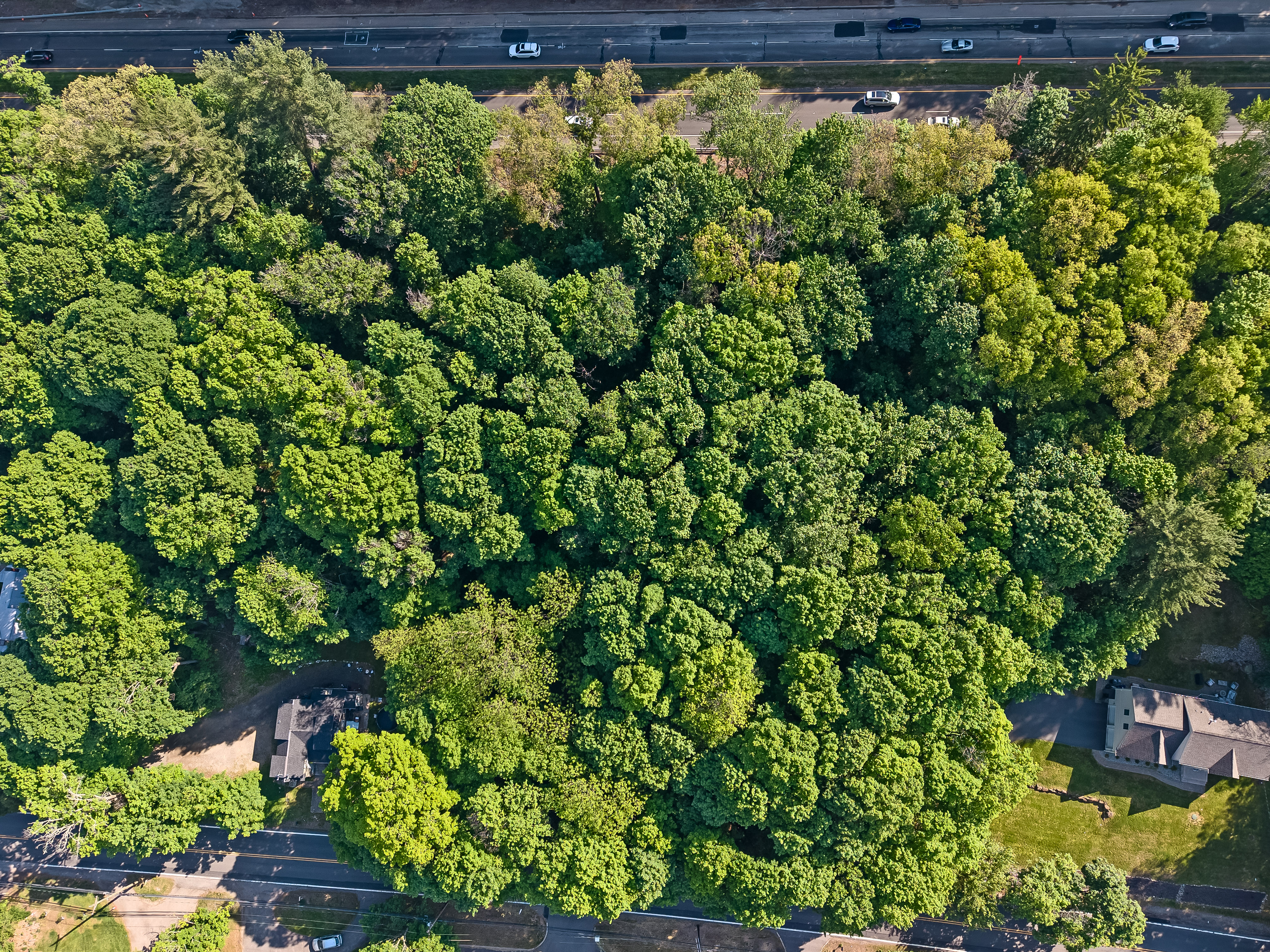  Three Parcels of Land For Sale - 物件實景