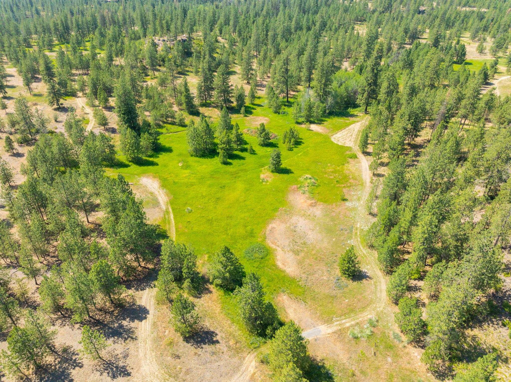 Nine Mile Falls, Washington, 99026, United States, ,Land,For Sale,1960887