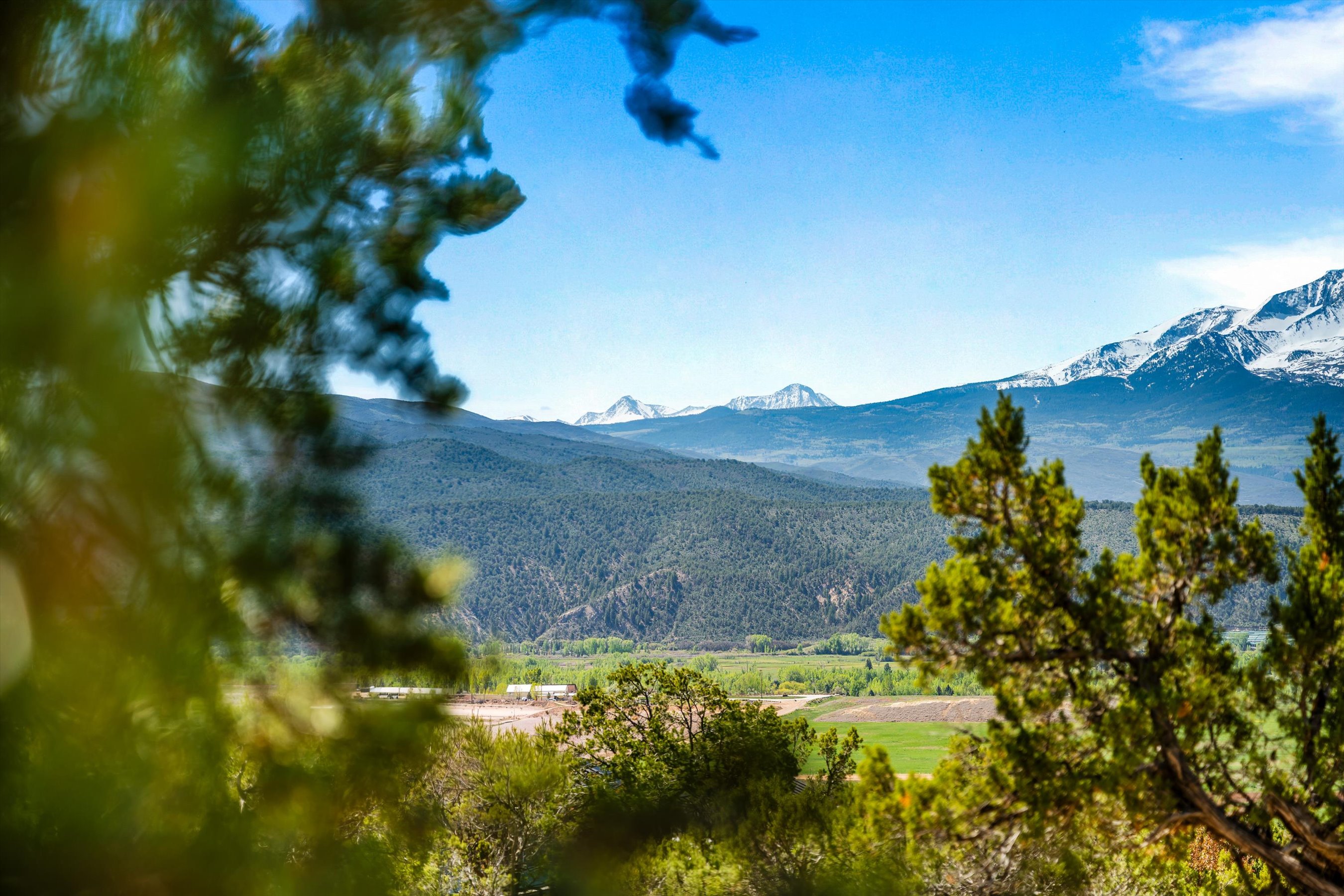  501 Wooden Deer Road, Carbondale, CO, 81623 - 物件實景