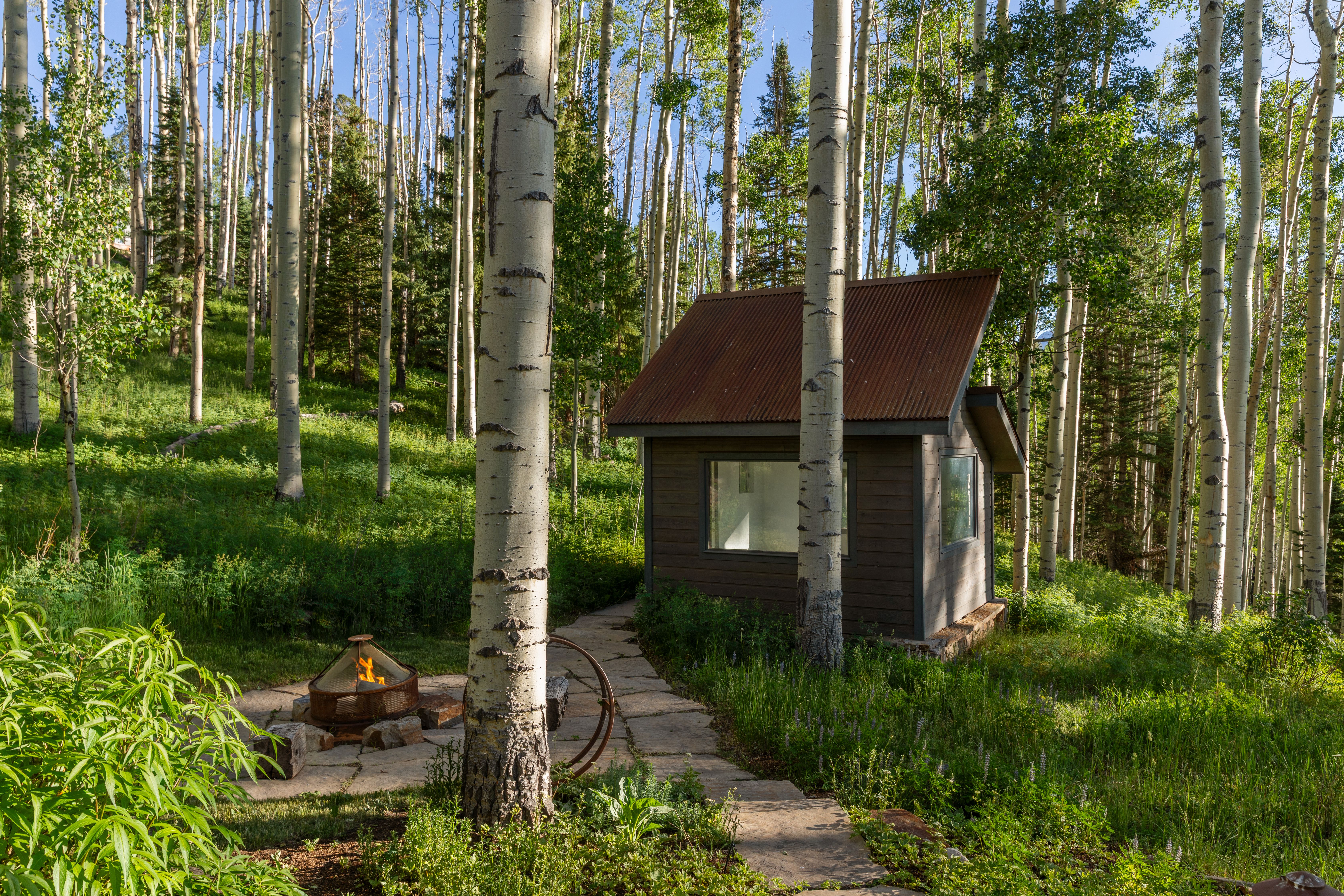  Mountain Escape Minutes from Telluride Ski Resort - 物件實景