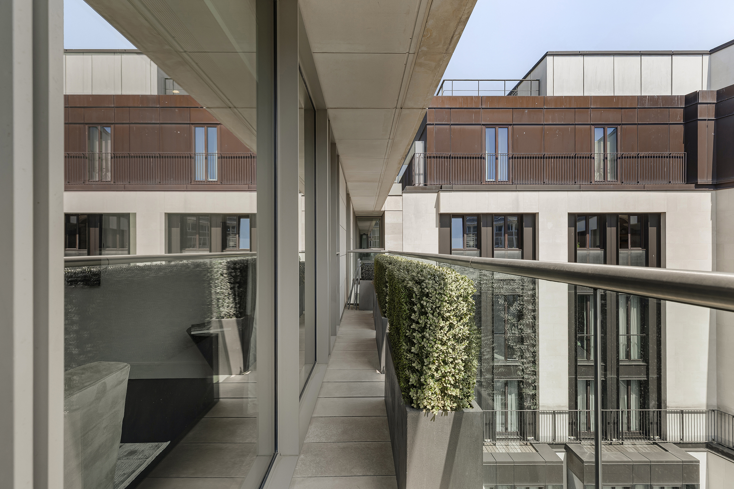  A Light-Filled Apartment with Exceptional Residents