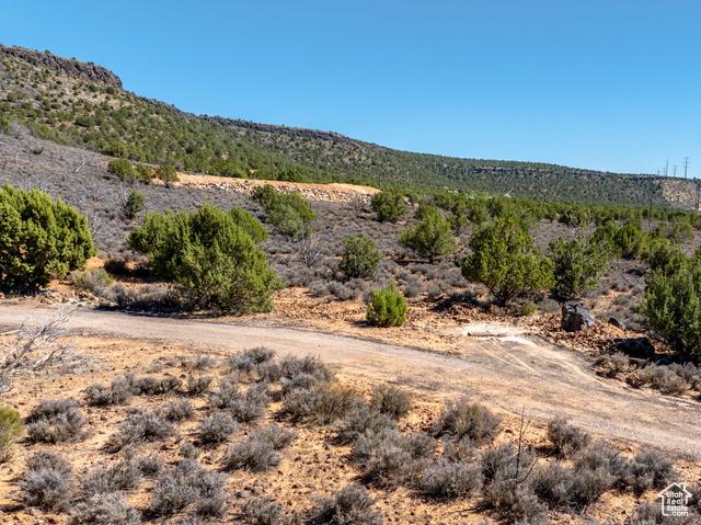 Diamond Valley, Utah, 84770, United States, ,Residential,For Sale,1982151