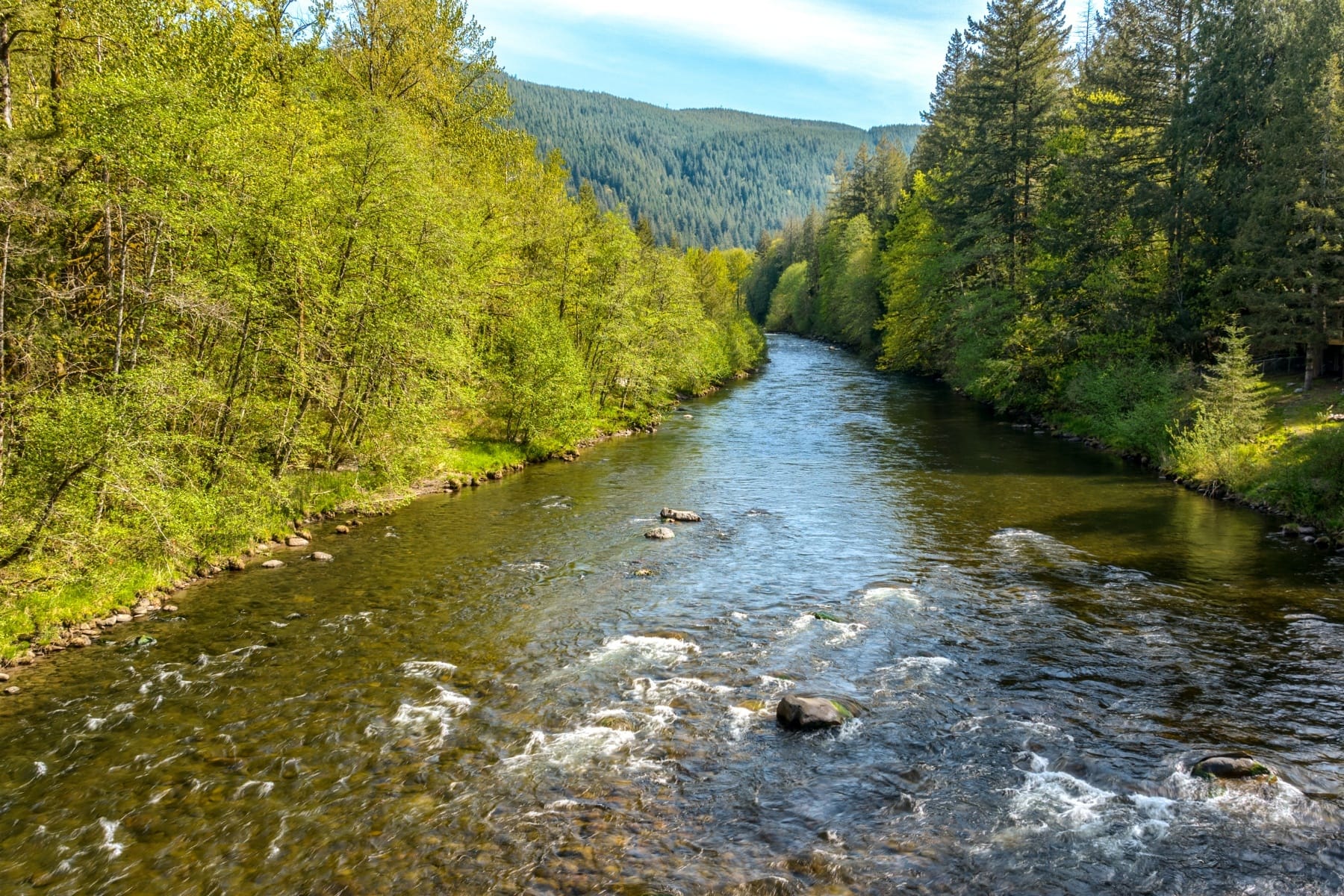  58200 E Marmot Road Sandy, OR 97055 - 物件實景