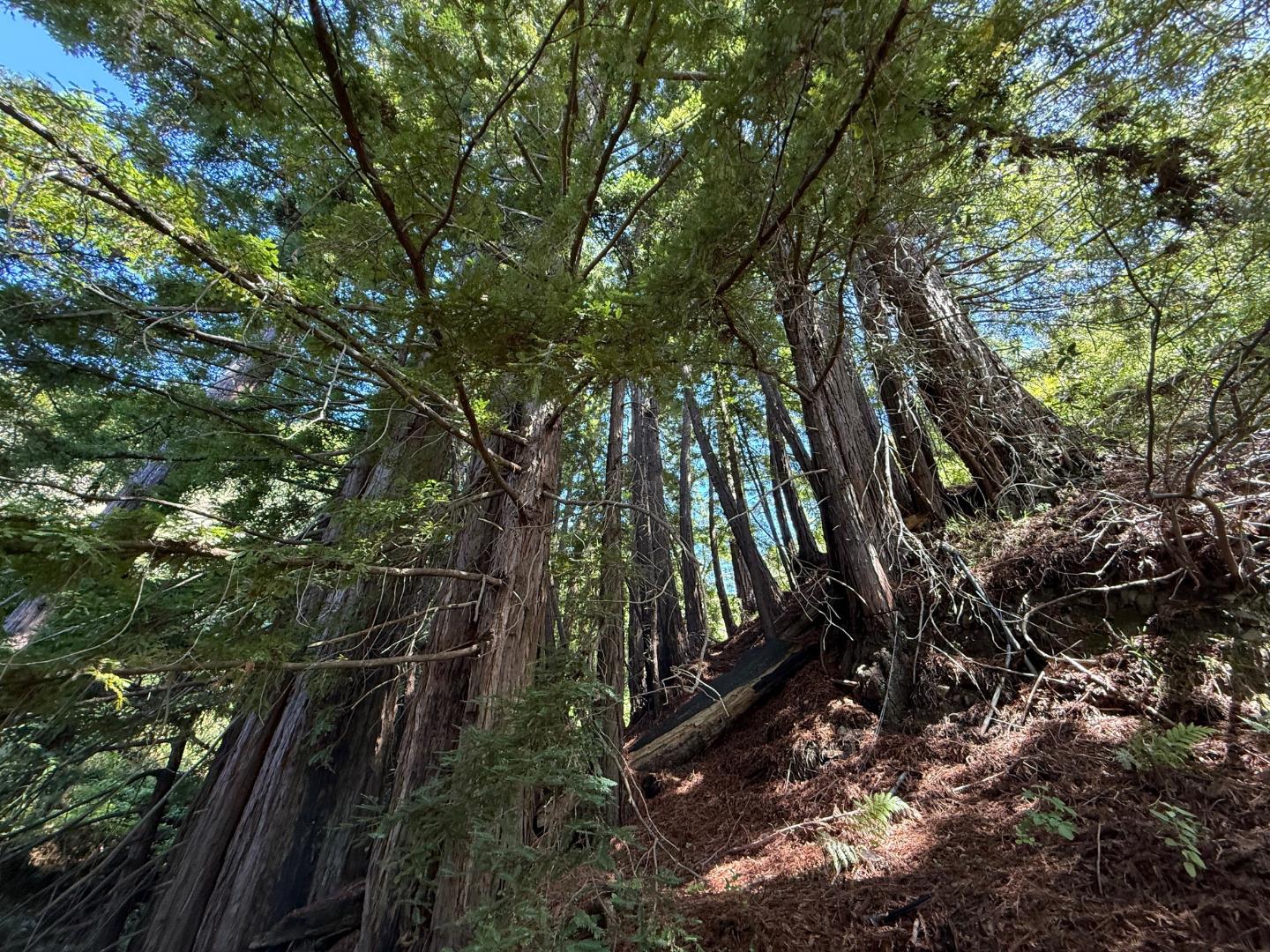 Big Sur, California, 93920, United States, 1 Bedroom Bedrooms, ,2 BathroomsBathrooms,Residential,For Sale,1876422