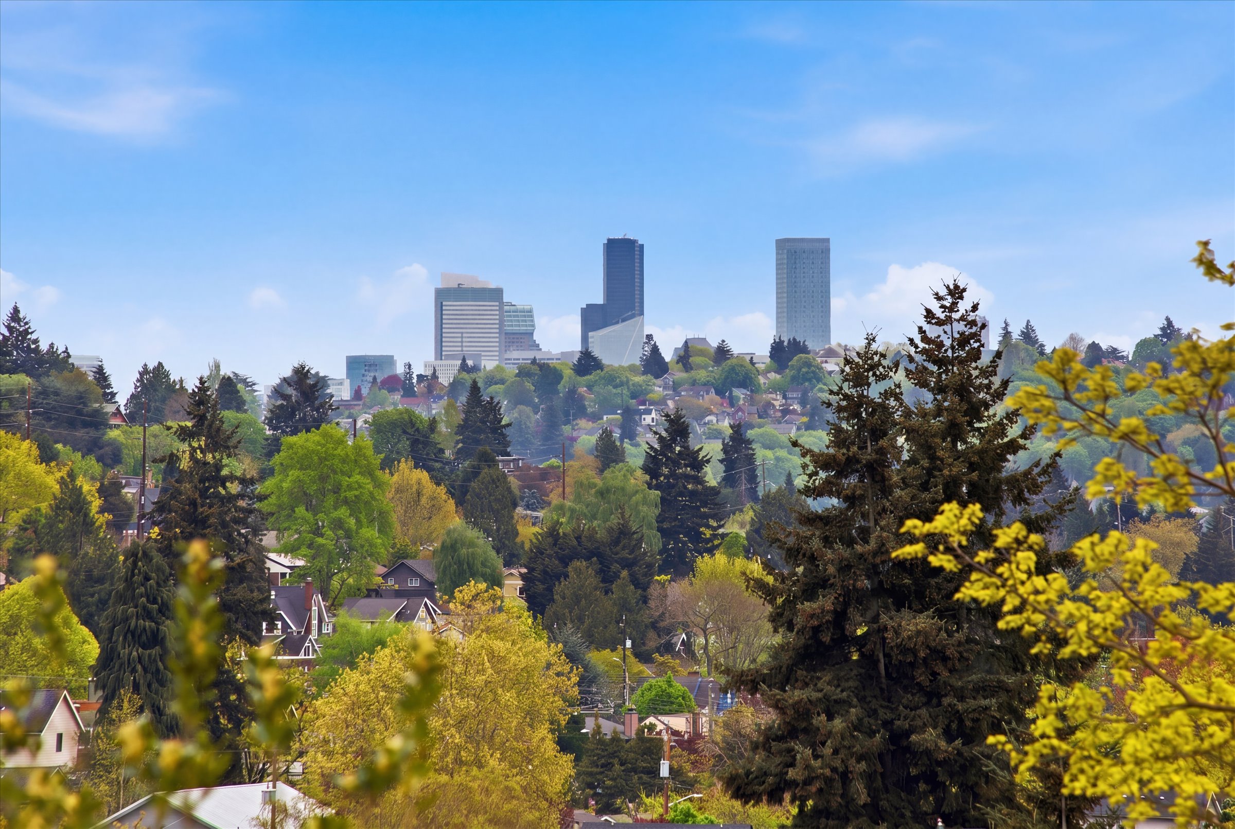  805 NW 63rd St St Unit #A Seattle, WA 98107 - 物件實景