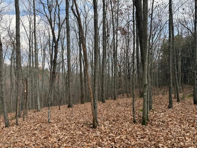 Talking Rock, Georgia, 30175, United States, ,Land,For Sale,1995157