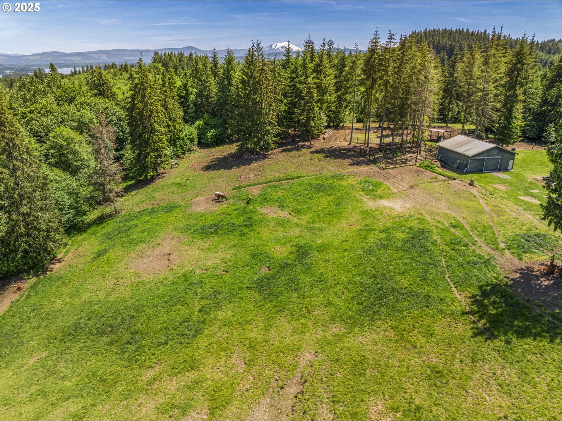 Castle Rock, Washington, 98611, United States, 3 Bedrooms Bedrooms, ,2 BathroomsBathrooms,Residential,For Sale,1848776