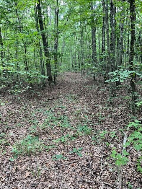 Graysville, Tennessee, 37338, United States, ,Residential,For Sale,1943907