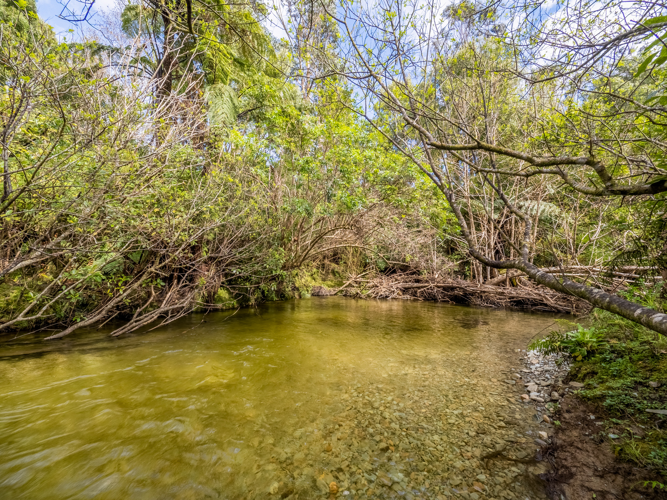  Ultimate West Coast Escape - 物件實景