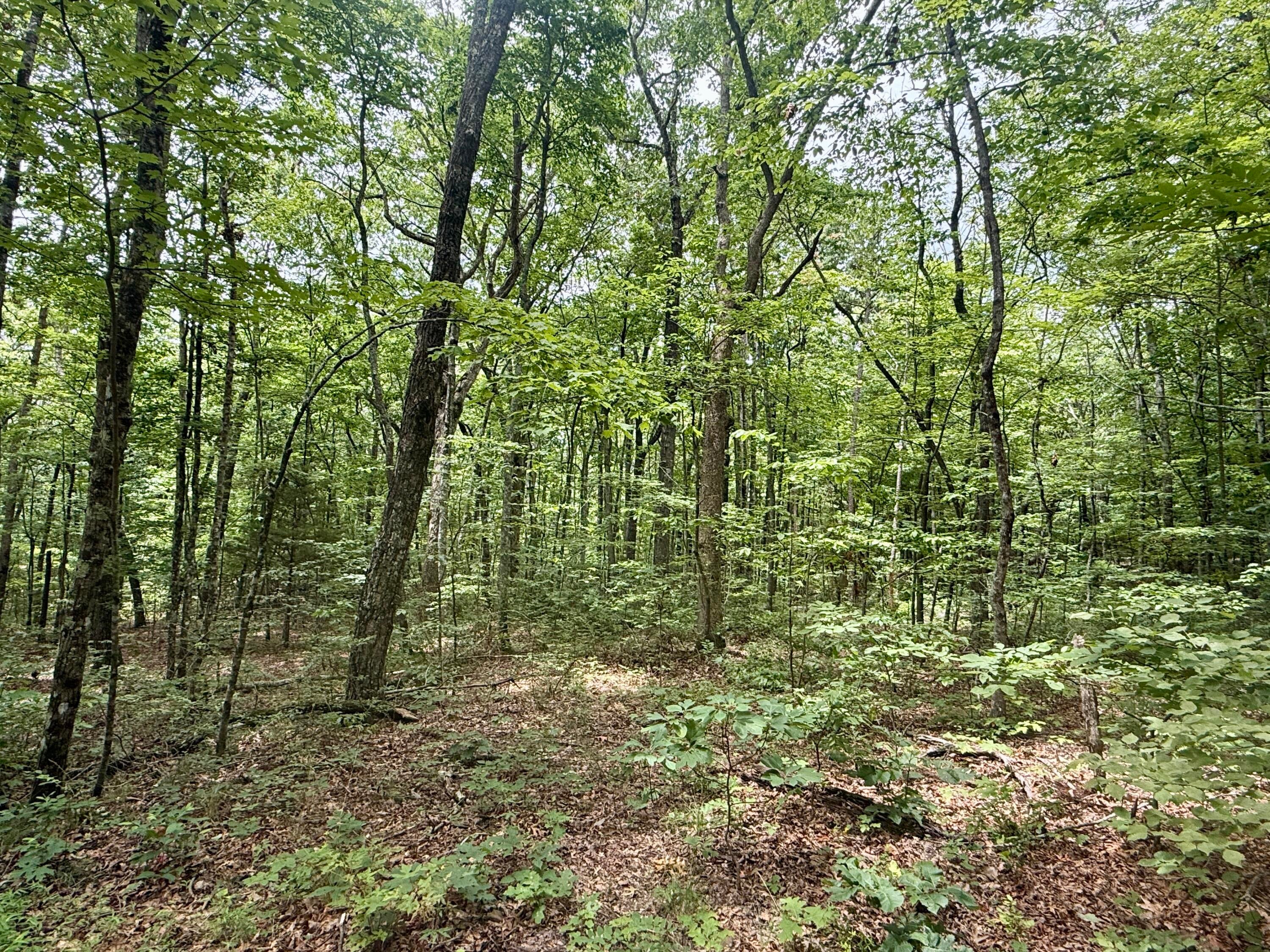 Dunlap, Tennessee, 37327, United States, ,Land,For Sale,1877286