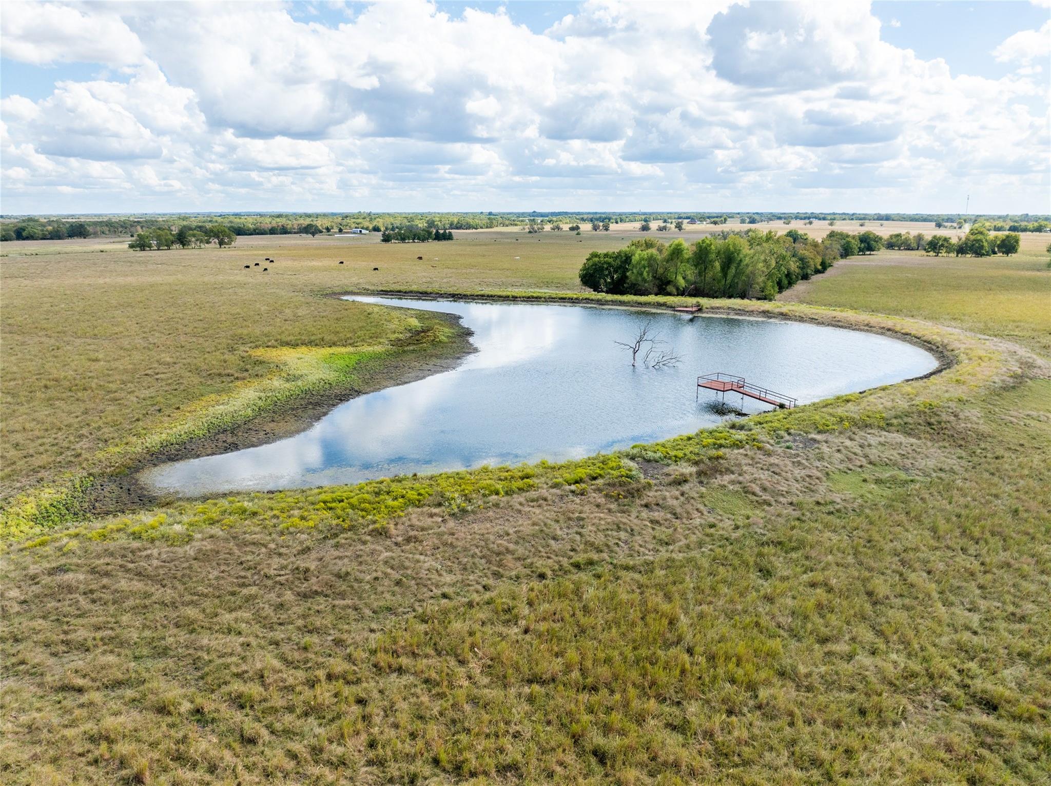 Blossom, Texas, 75416, United States, ,Residential,For Sale,1977937