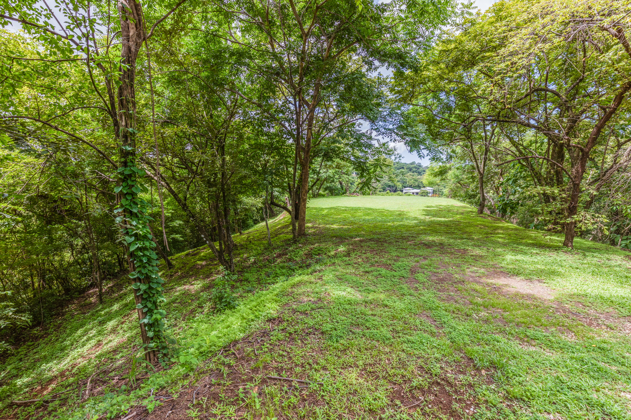 Playa Ostional, Ostional, Guanacaste, CR, ,Land,For Sale,Playa Ostional,1585993