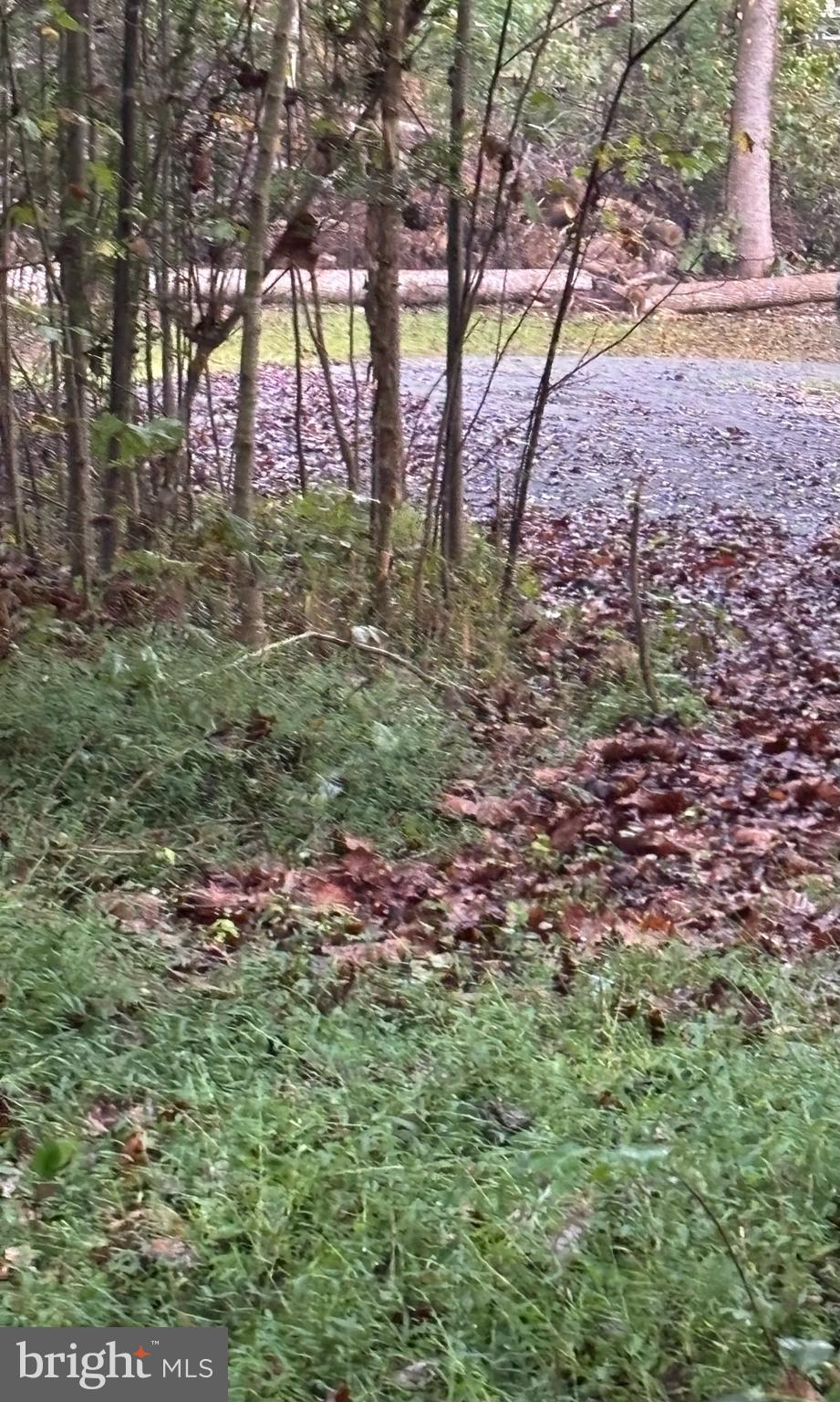 Reva, Virginia, 22735, United States, ,Residential,For Sale,1982526