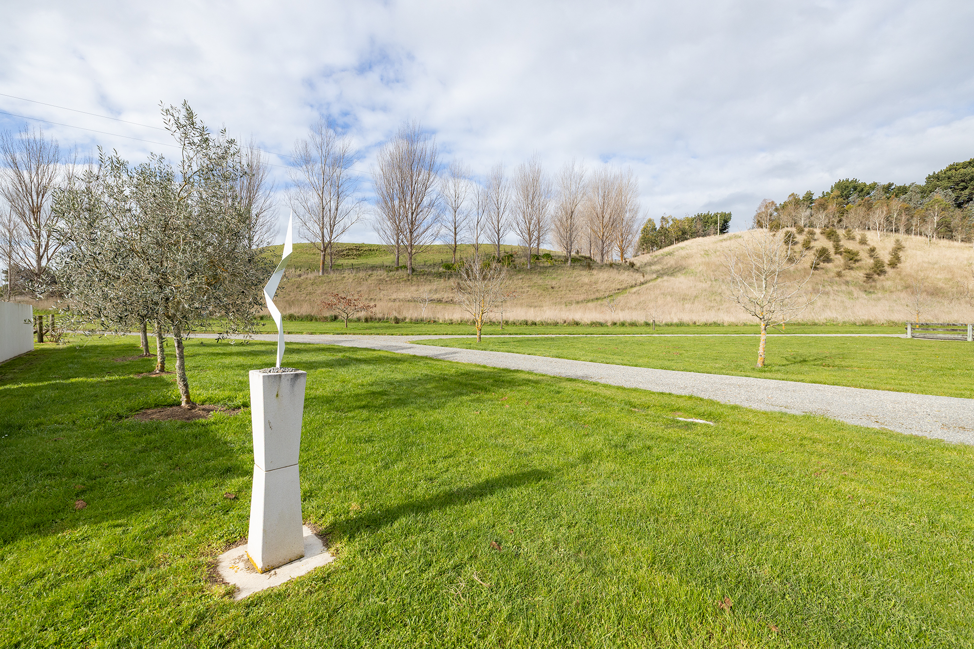  Martinborough Dream Lifestyle Property - 物件實景