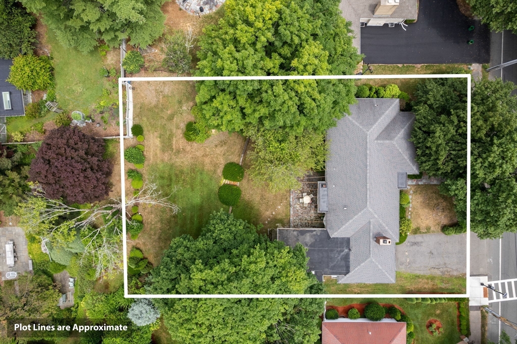 Brookline, Massachusetts, 02467, United States, 4 Bedrooms Bedrooms, ,3 BathroomsBathrooms,Residential,For Sale,1890241