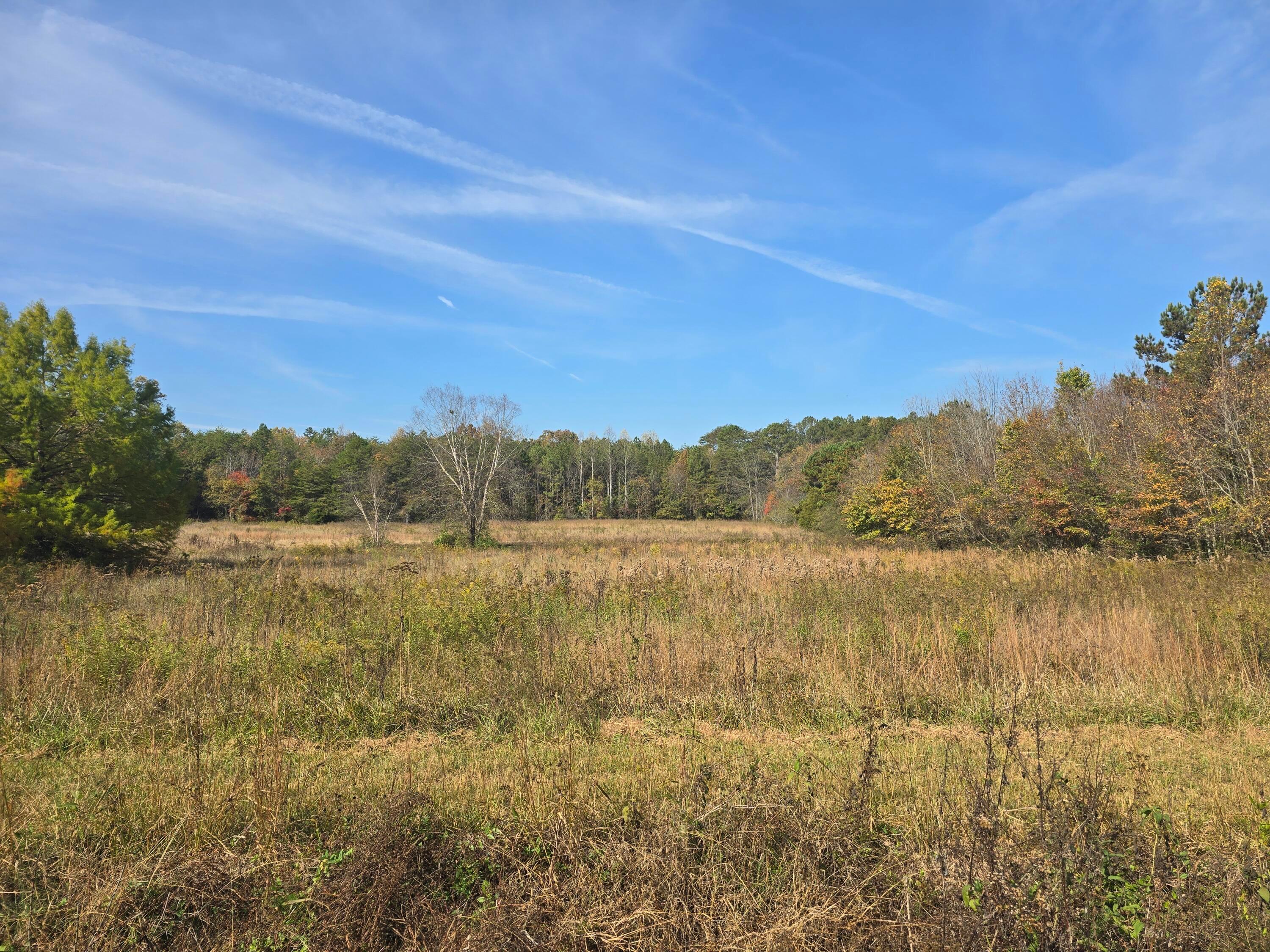 1379 Sand Mountain Road, Ocoee, Tennessee, 37361, United States, ,Residential,For Sale,1379 Sand Mountain Road,1649302