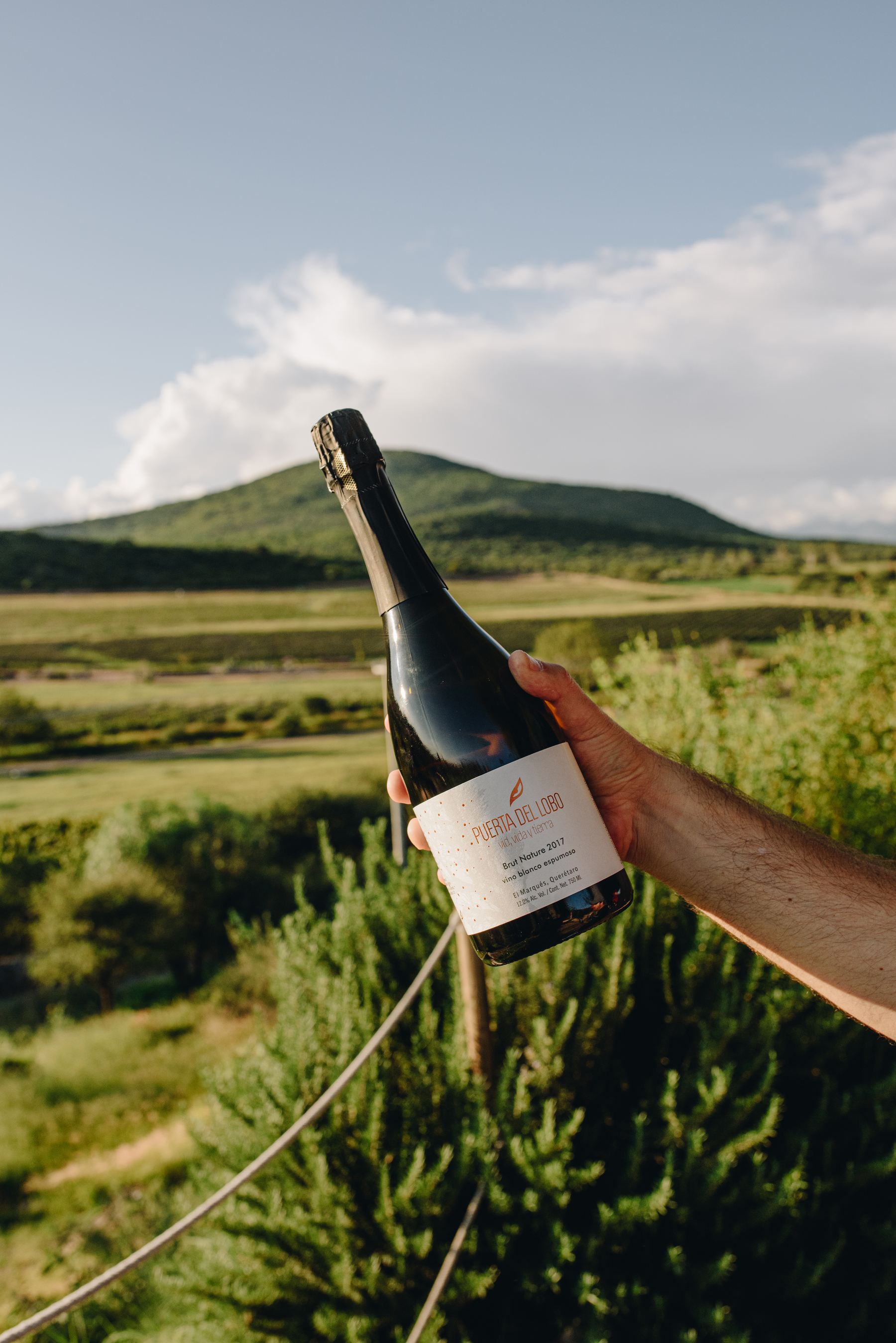  TERRENO PUERTA DEL LOBO - 物件實景